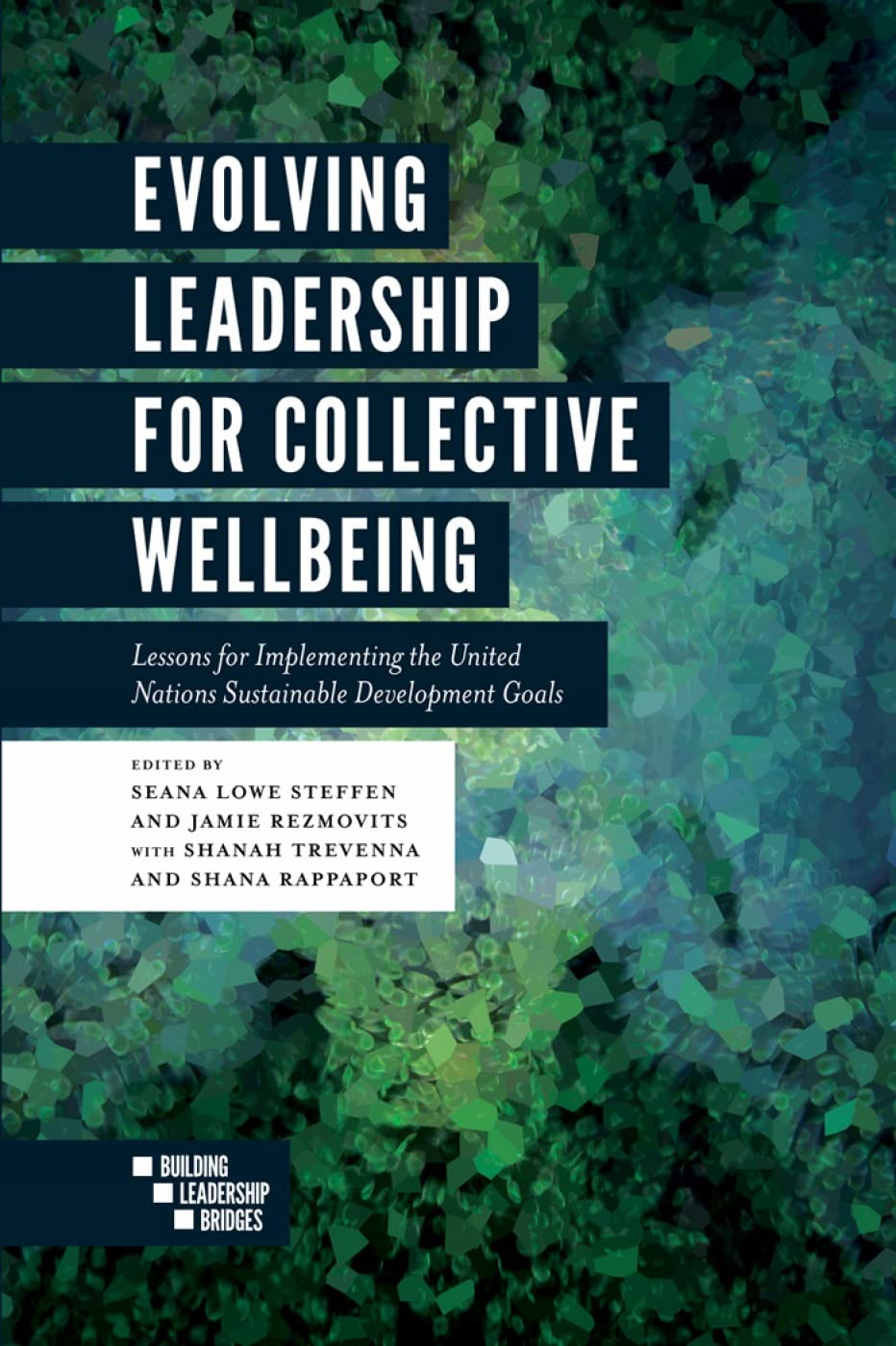 Evolving Leadership for Collective Wellbeing: Lessons for Implementing the United Nations Sustainable Development Goals book