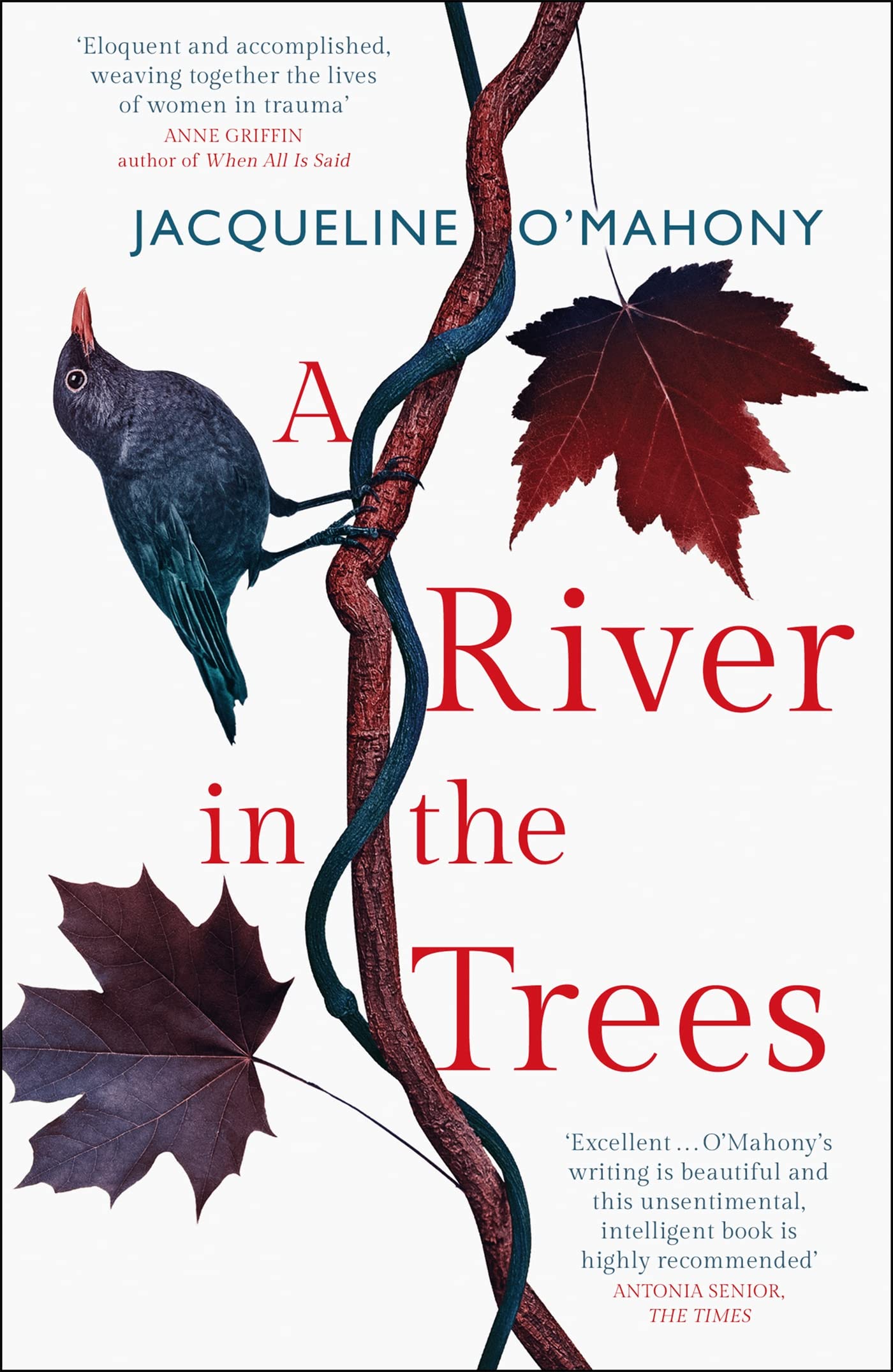 Product Image: A River in the Trees