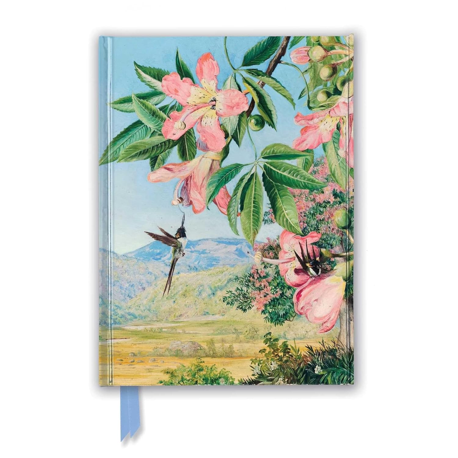 Premium Notizbuch DIN A5: Marianne North, Blätter und Blüten des Chorisia: Unser hochwertiges, liniertes Blankbook mit festem, künstlerisch geprägtem ... Notizbuch DIN A 5 mit Magnetverschluss) Business, Finance & Career