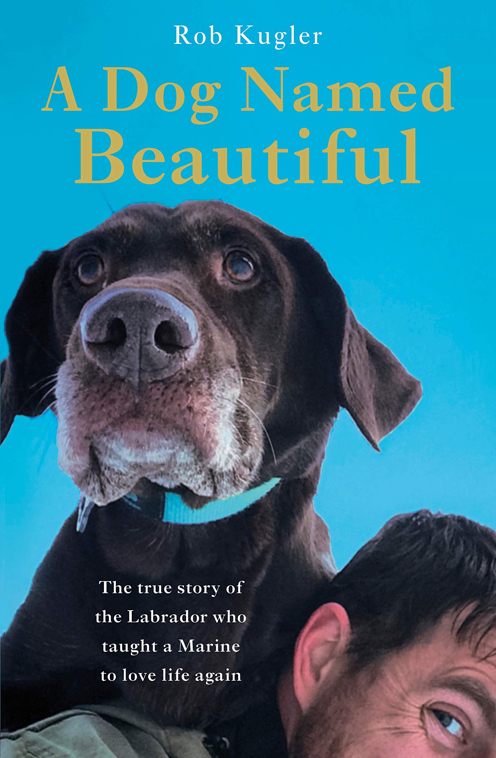 A Dog Named Beautiful: The true story of the Labrador who taught a Marine to love life again Sports Books