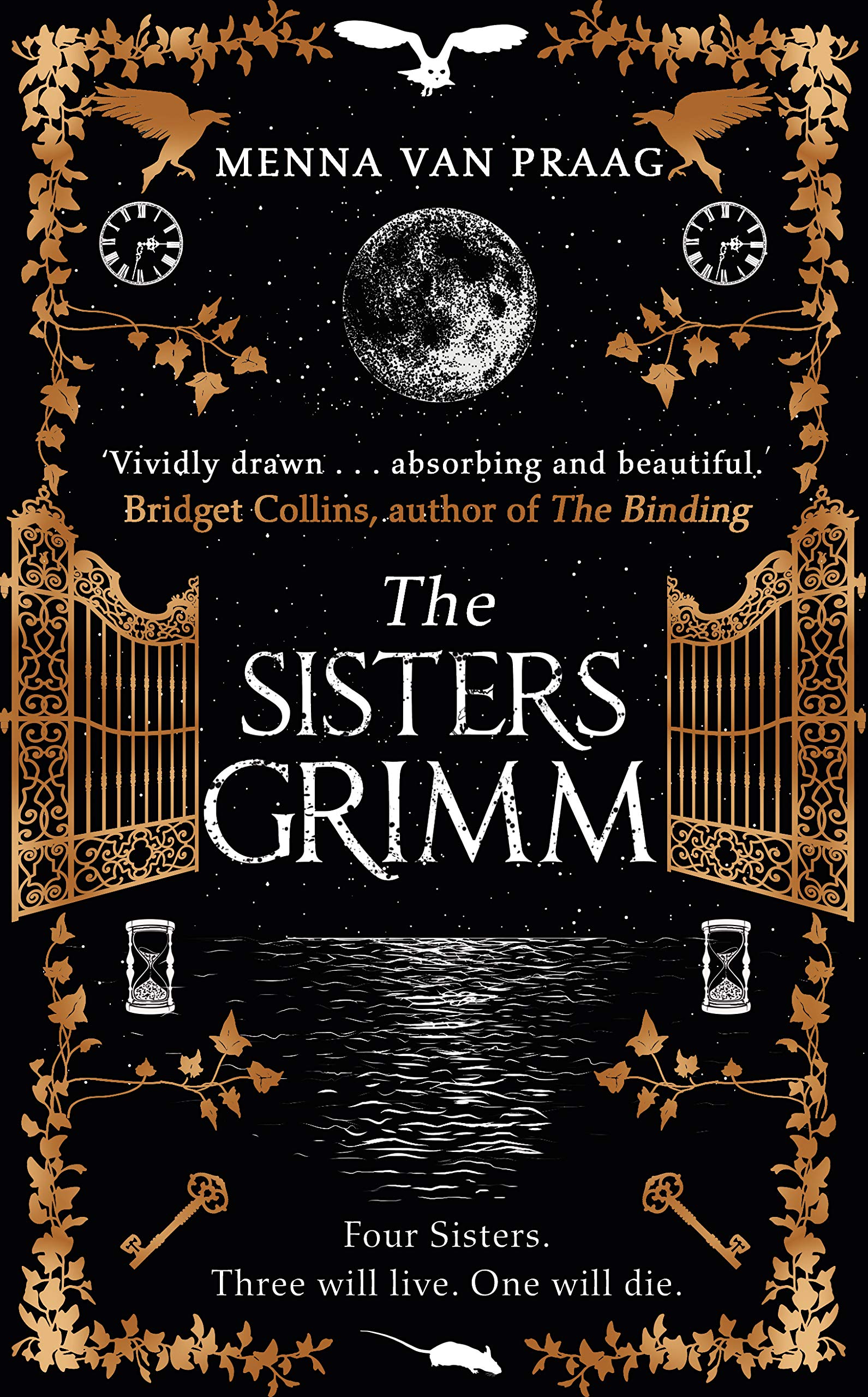 The Sisters Grimm Contemporary literature Books