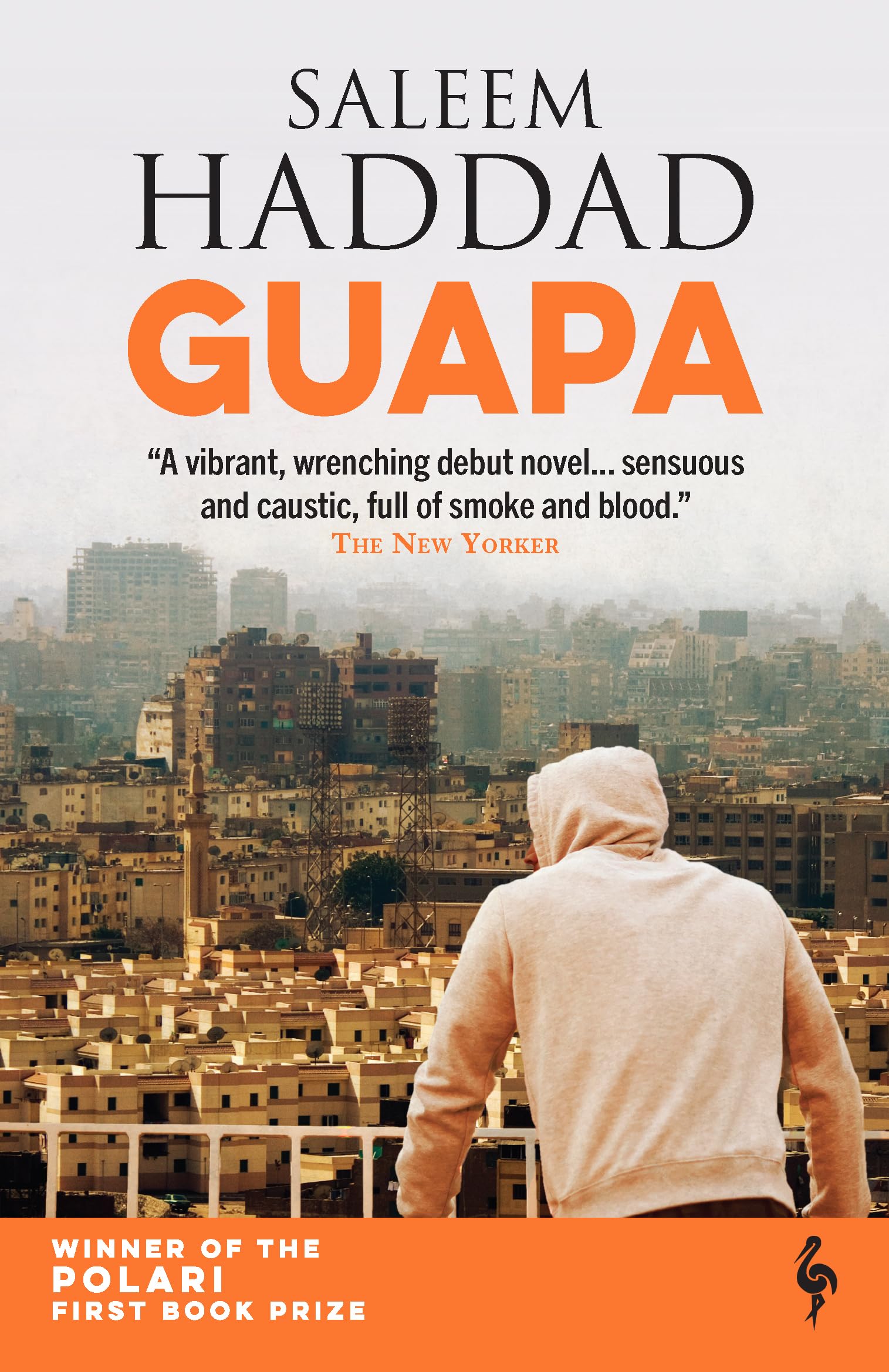 Guapa Contemporary literature Books