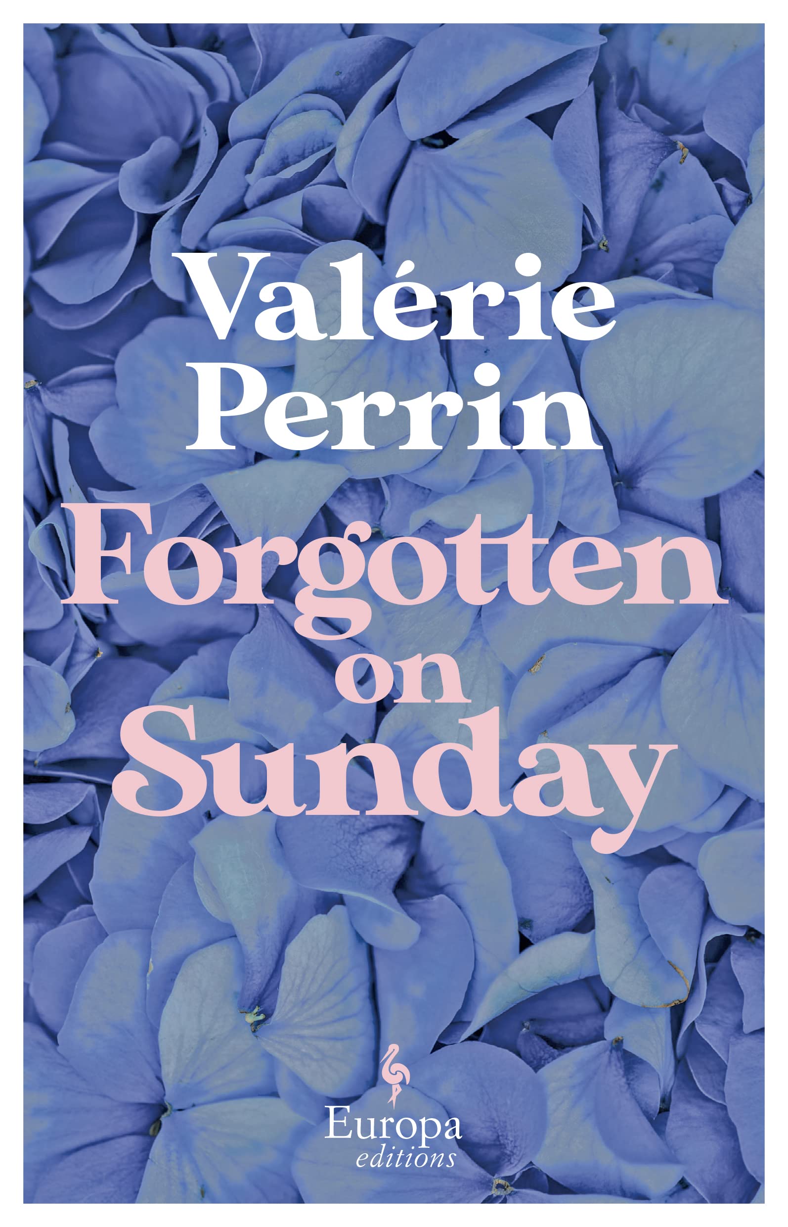 Forgotten on Sunday: From the million copy bestselling author of Fresh Water for Flowers Contemporary literature