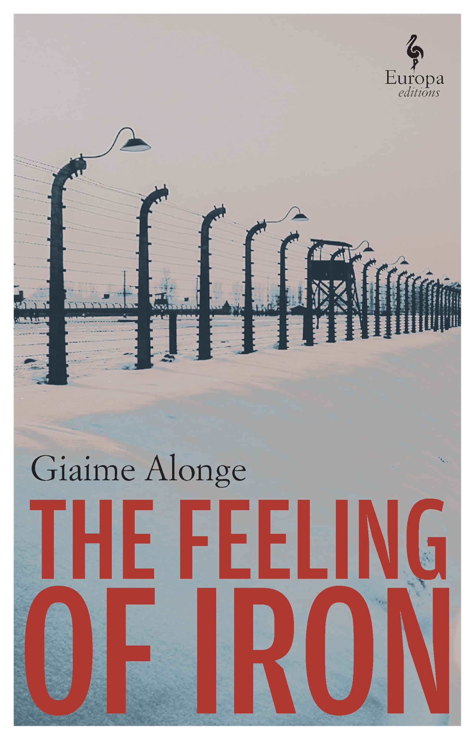 The Feeling of Iron book