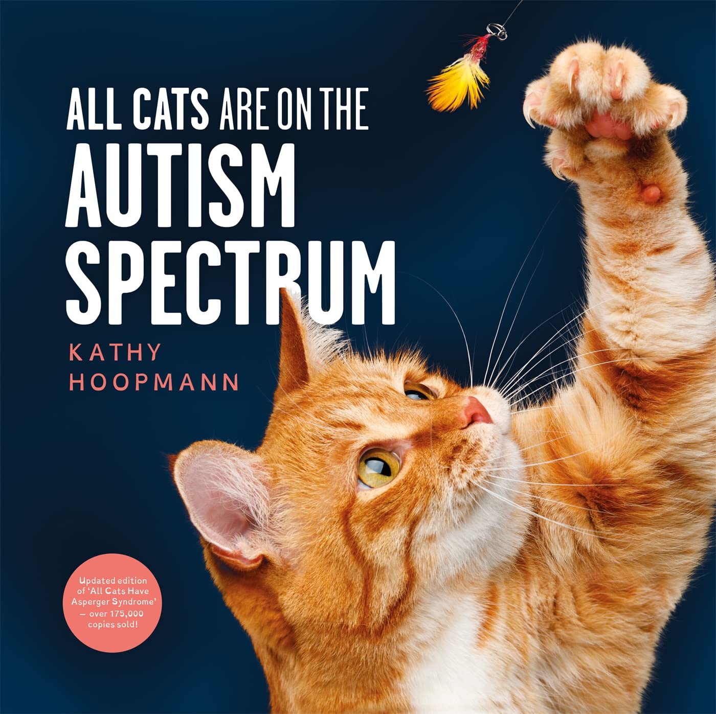 All Cats Are on the Autism Spectrum Education & Training