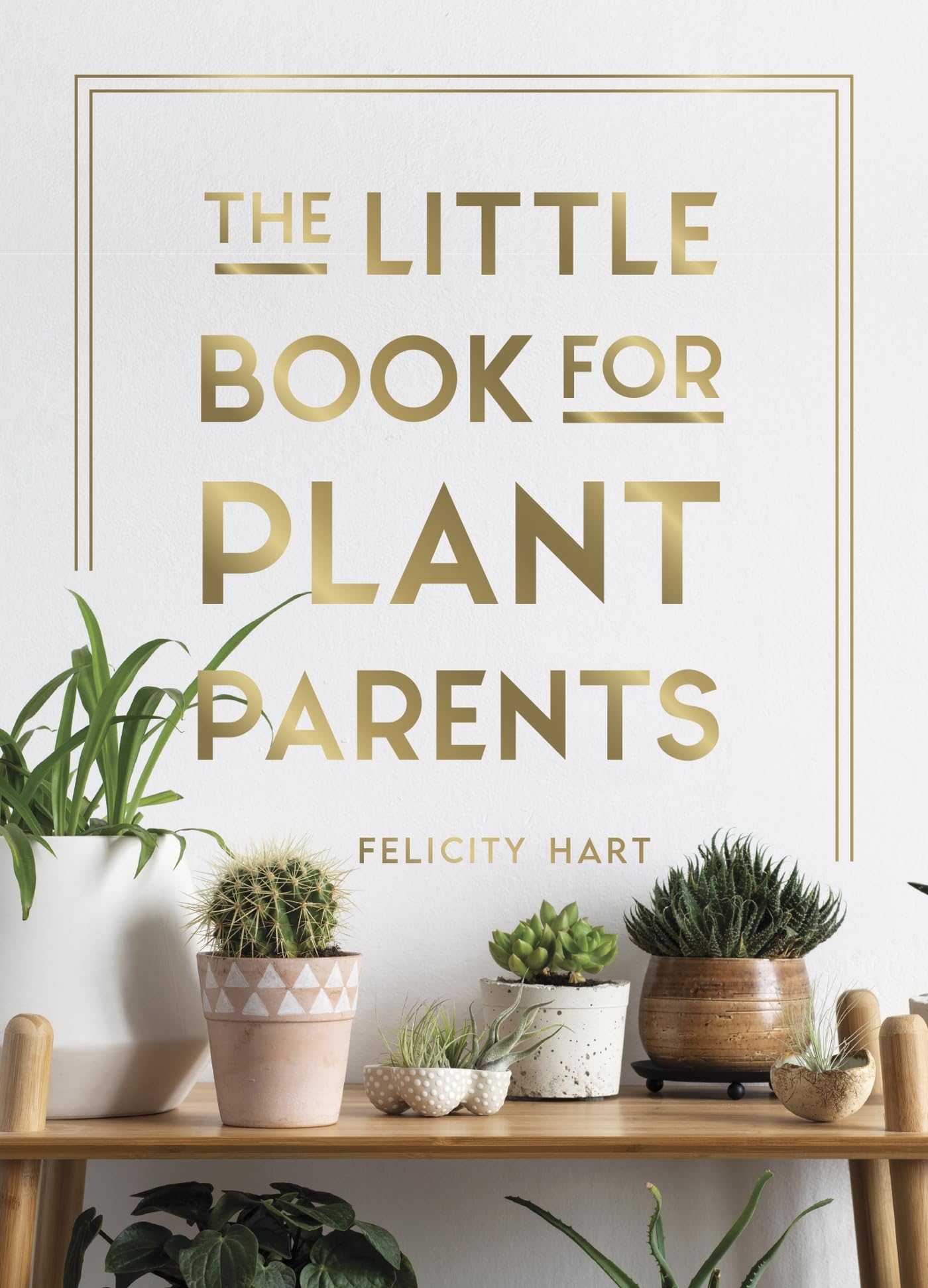 The Little Book for Plant Parents: Simple Tips to Help You Grow Your Own Urban Jungle Lifestyle