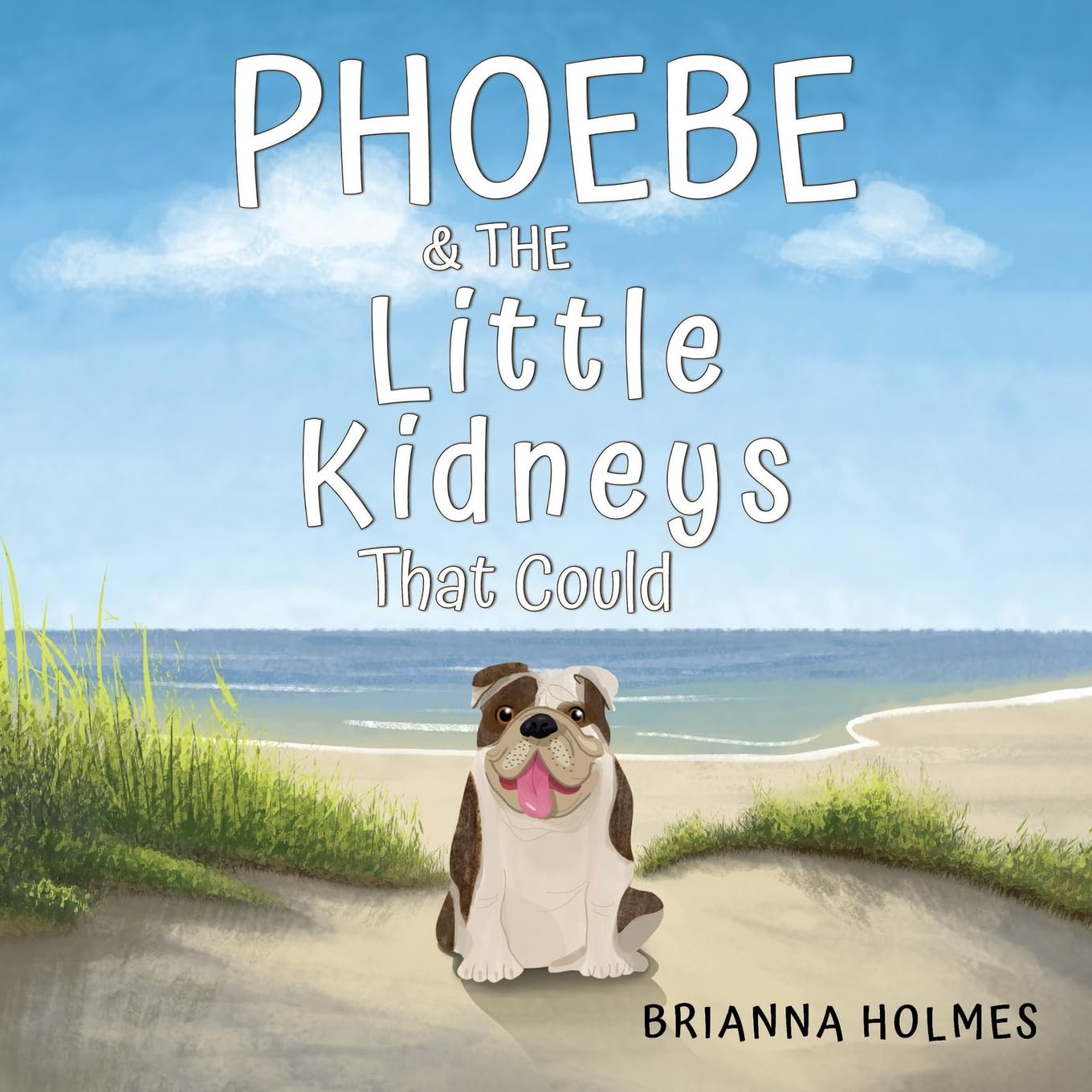 Phoebe & The Little Kidneys That Could Non-fiction