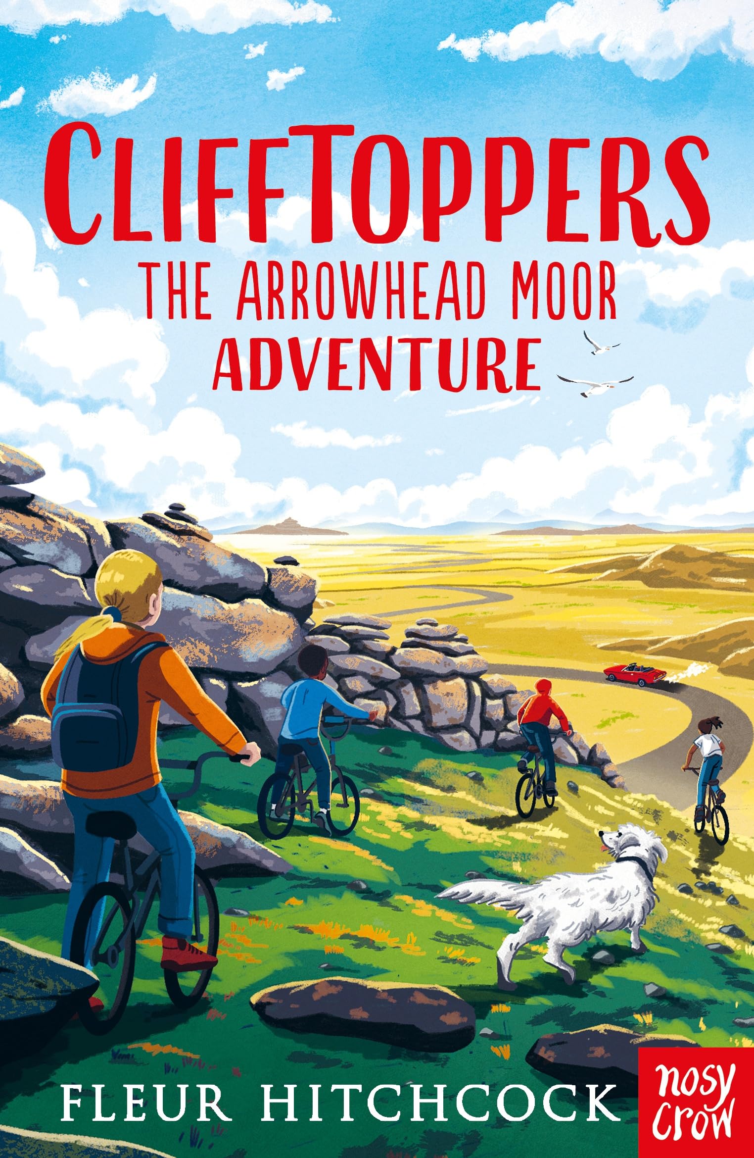 Clifftoppers Novels & Short Stories for children
