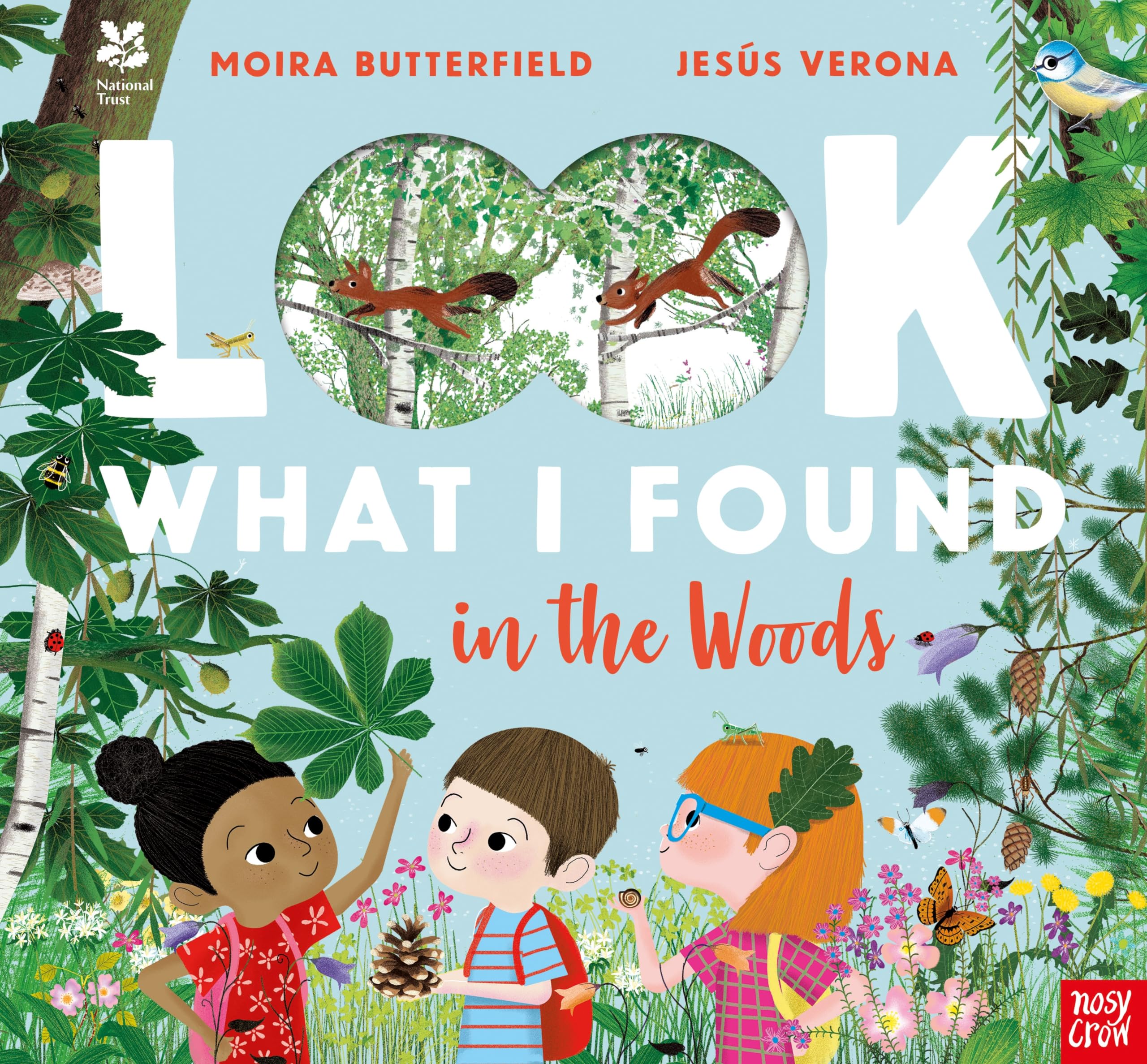 National Trust: Look What I Found in the Woods Non-fiction