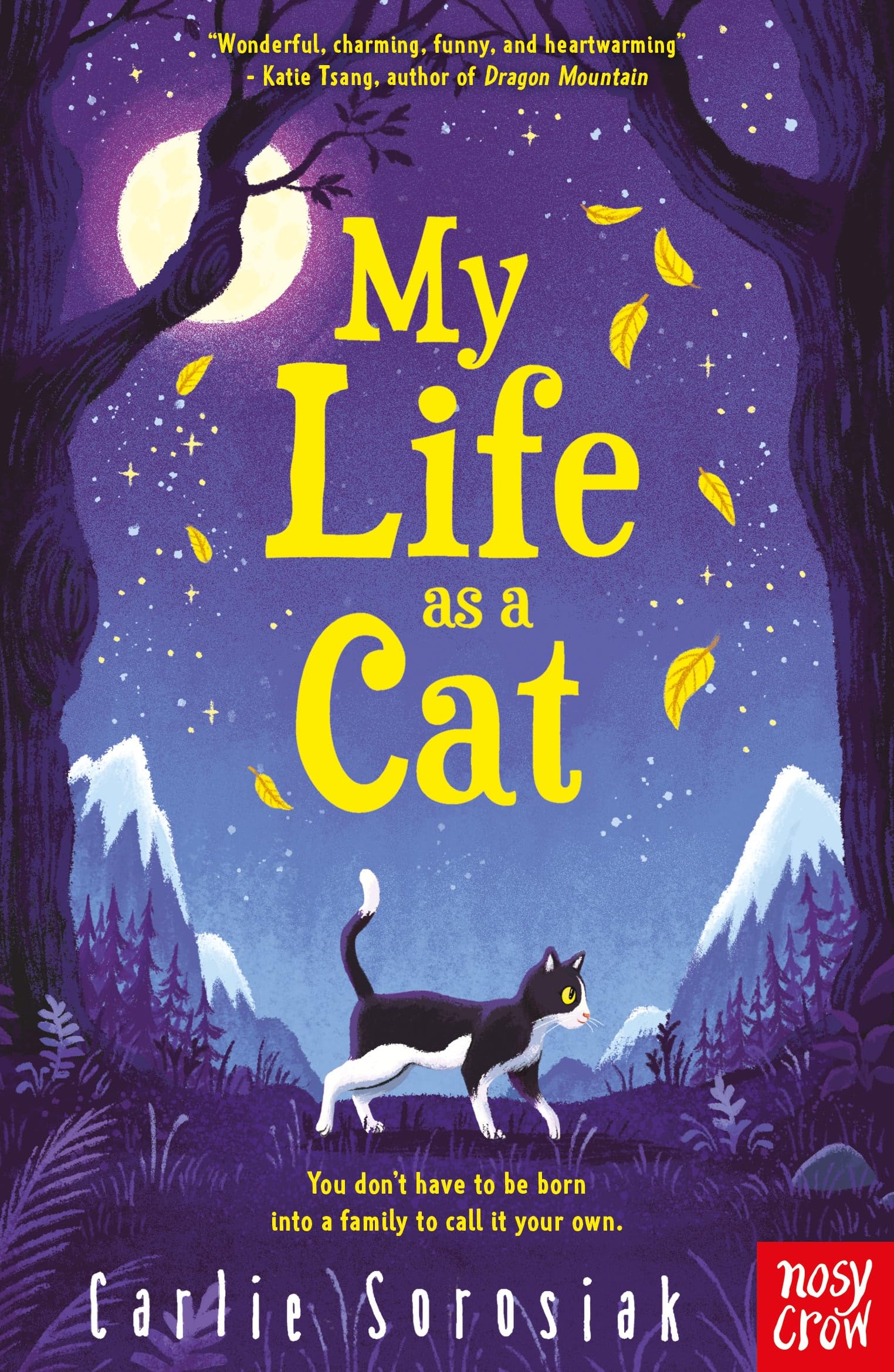 My Life as a Cat Non-fiction