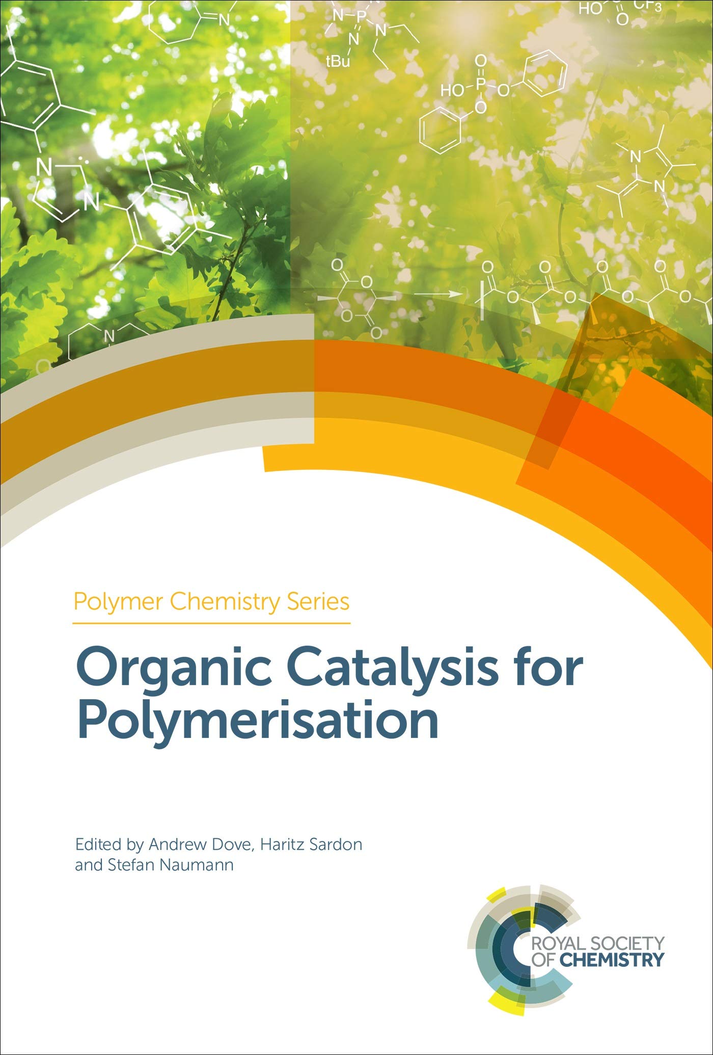 Organic Catalysis for Polymerisation (Polymer Chemistry, 31, Band 31) Natural Sciences