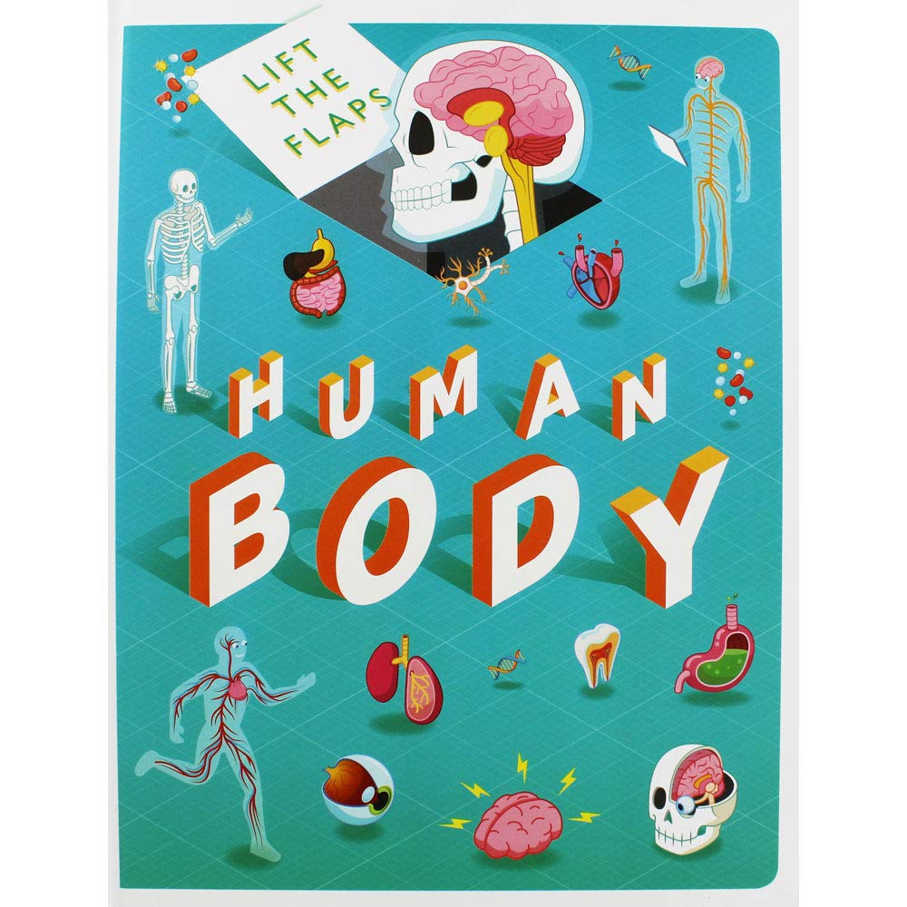 Lift The Flaps: Human Body (Discovery Lift the Flaps) Tiptoi & Games