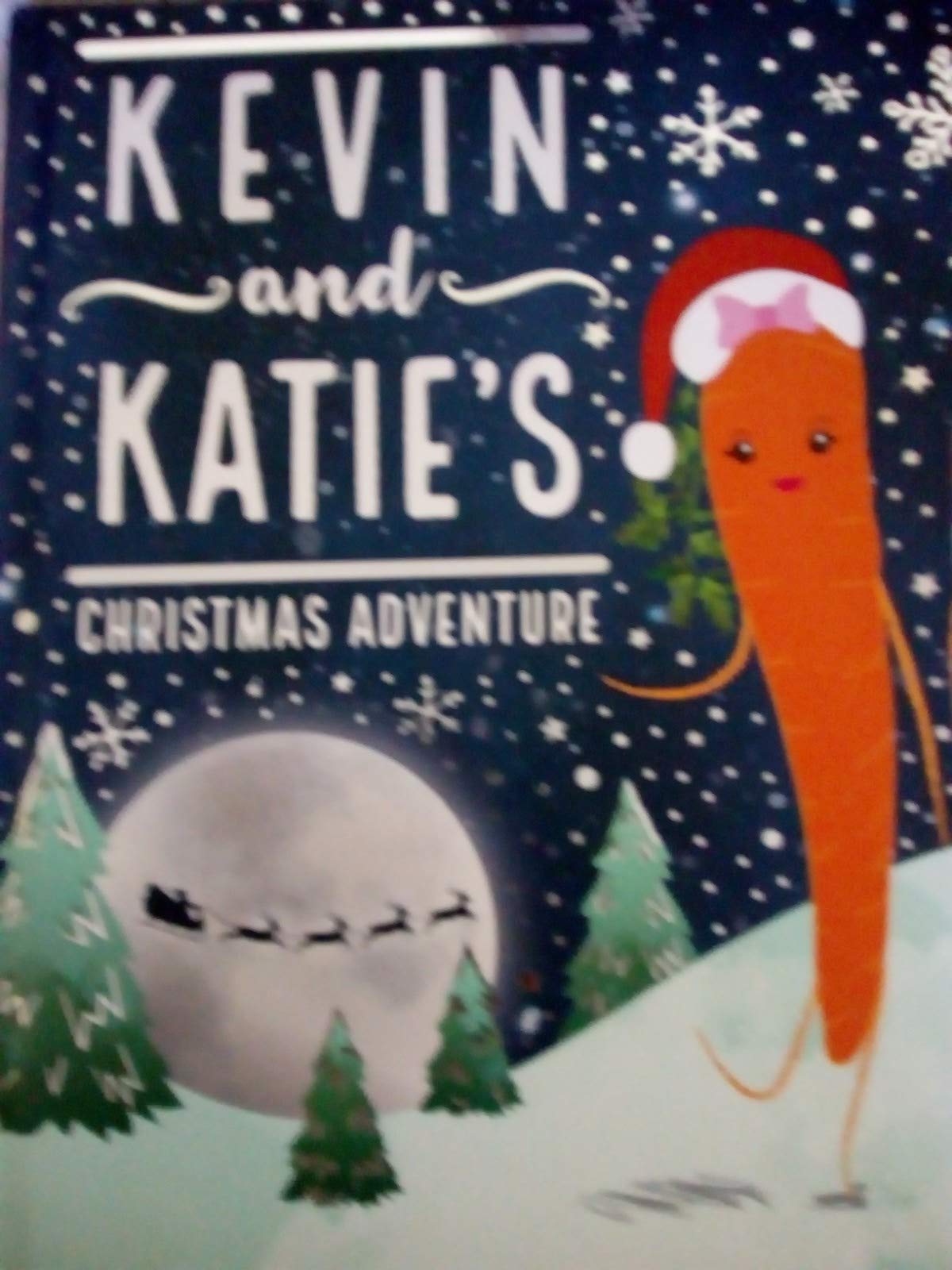 Kevin and Katie's Christmas Adventure (Storytime Picture Bk HB) Novels & Short Stories