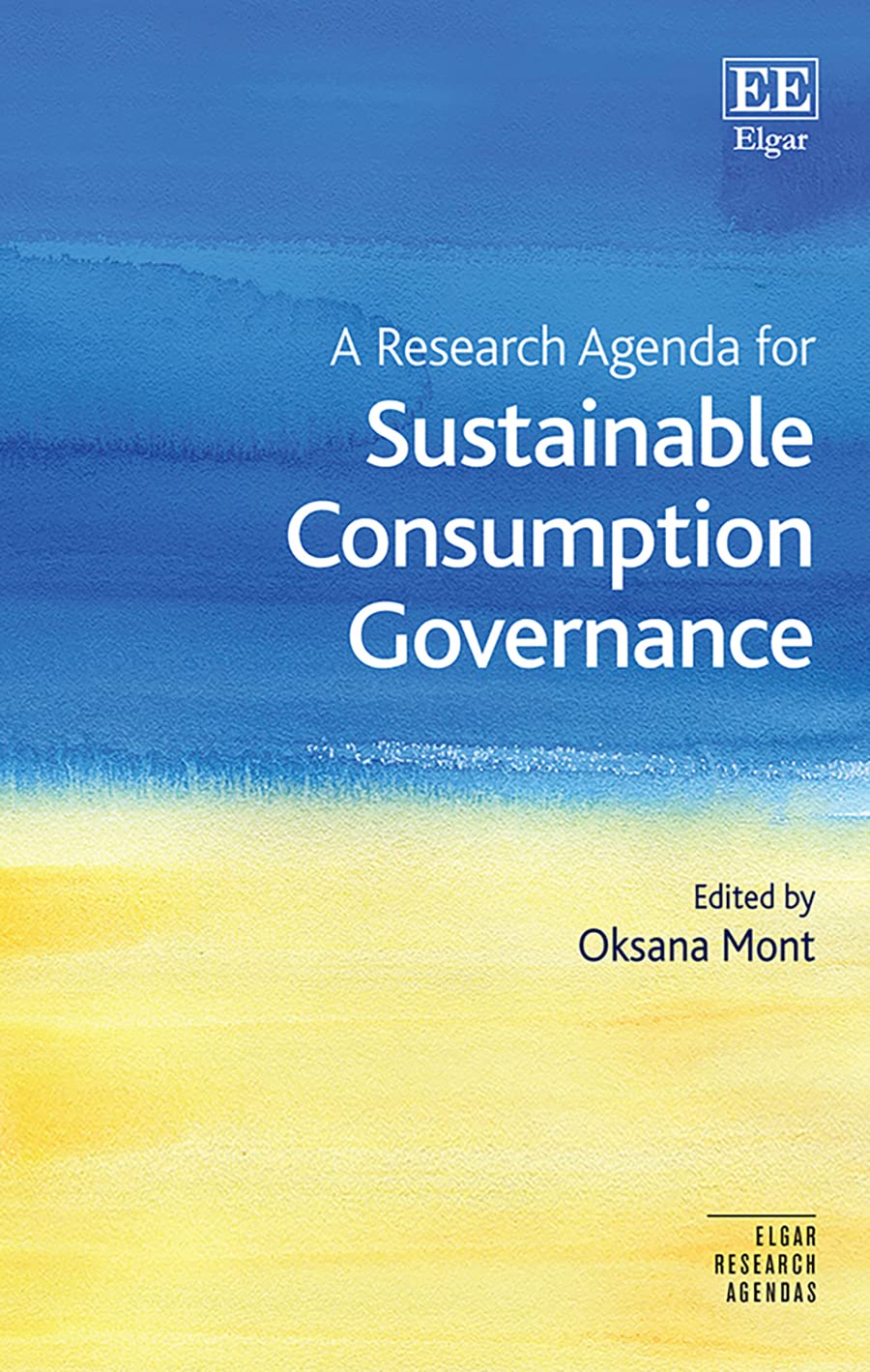 A Research Agenda for Sustainable Consumption Governance (Elgar Research Agendas) Business, Finance & Career