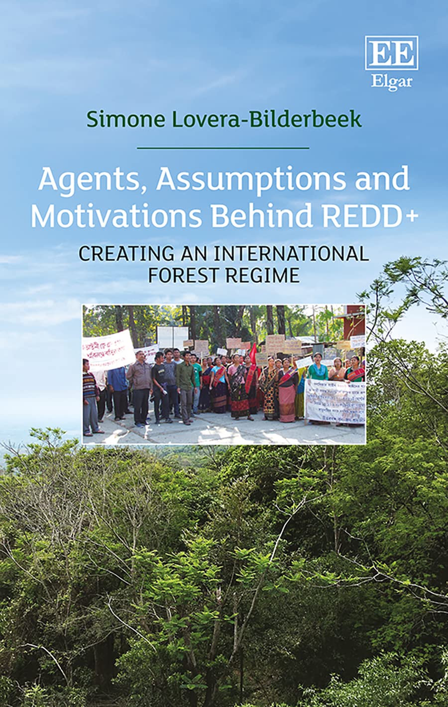Agents, Assumptions and Motivations Behind REDD+: Creating an International Forest Regime Mathematics