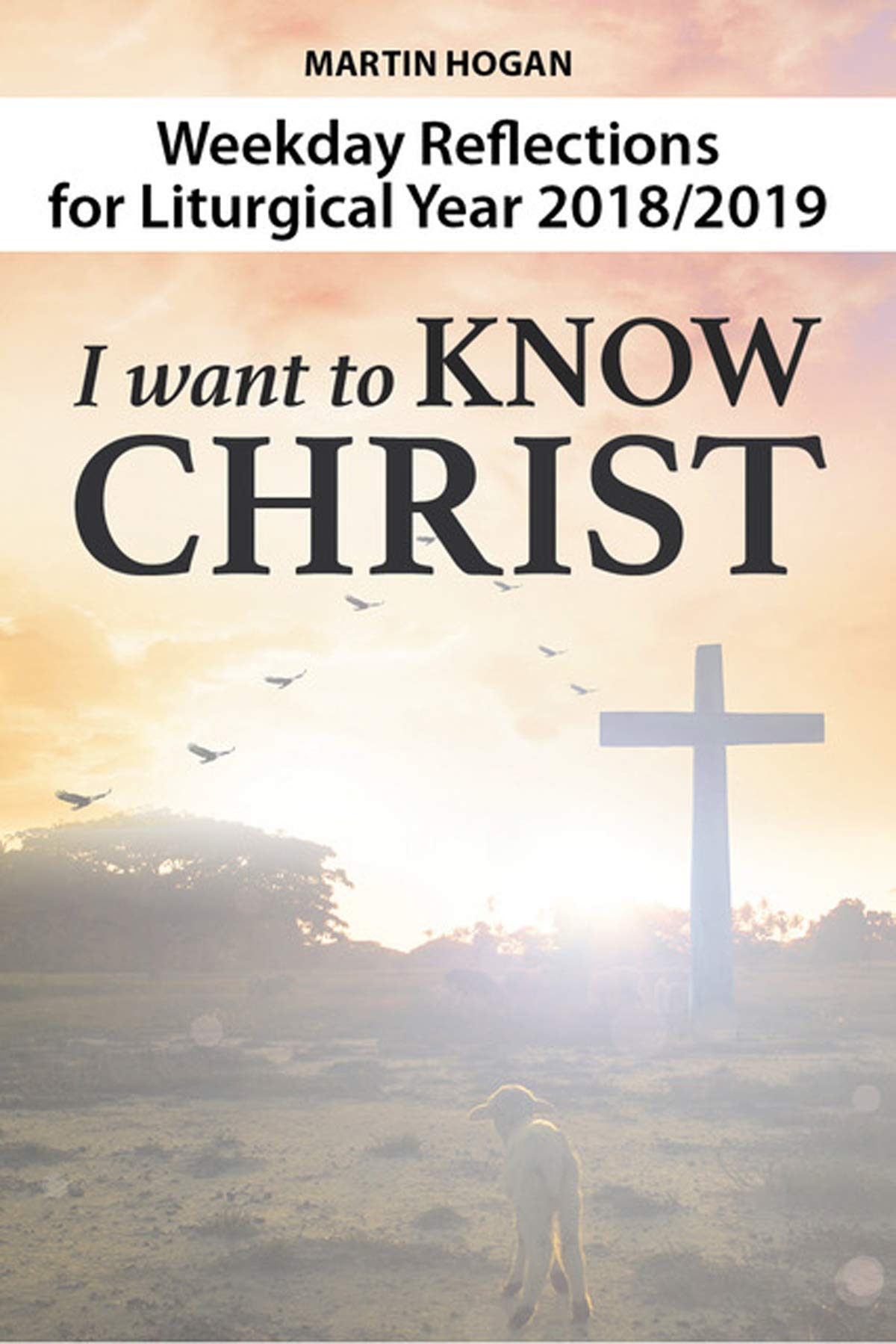 I Want to Know Christ: Weekday Reflections for the Liturgical Year 2018-19: Weekday Reflections for the Liturgical Year 2018/2019 Social Sciences