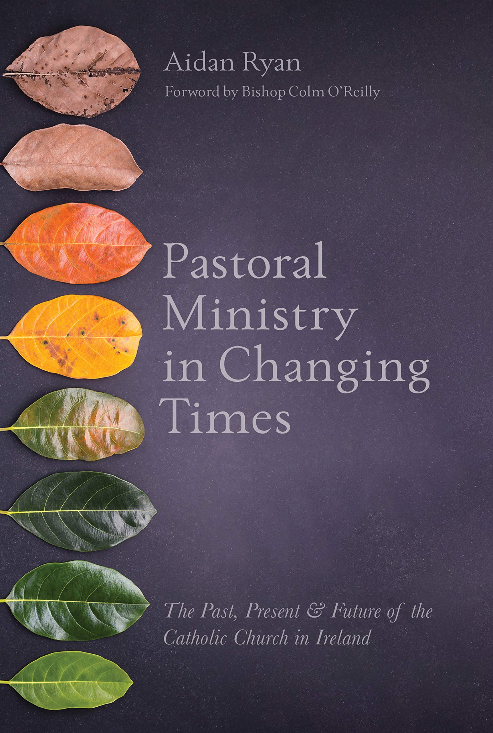 Pastoral Ministry in Changing Times: The Past, Present & Future of the Catholic Church in Ireland Social Sciences