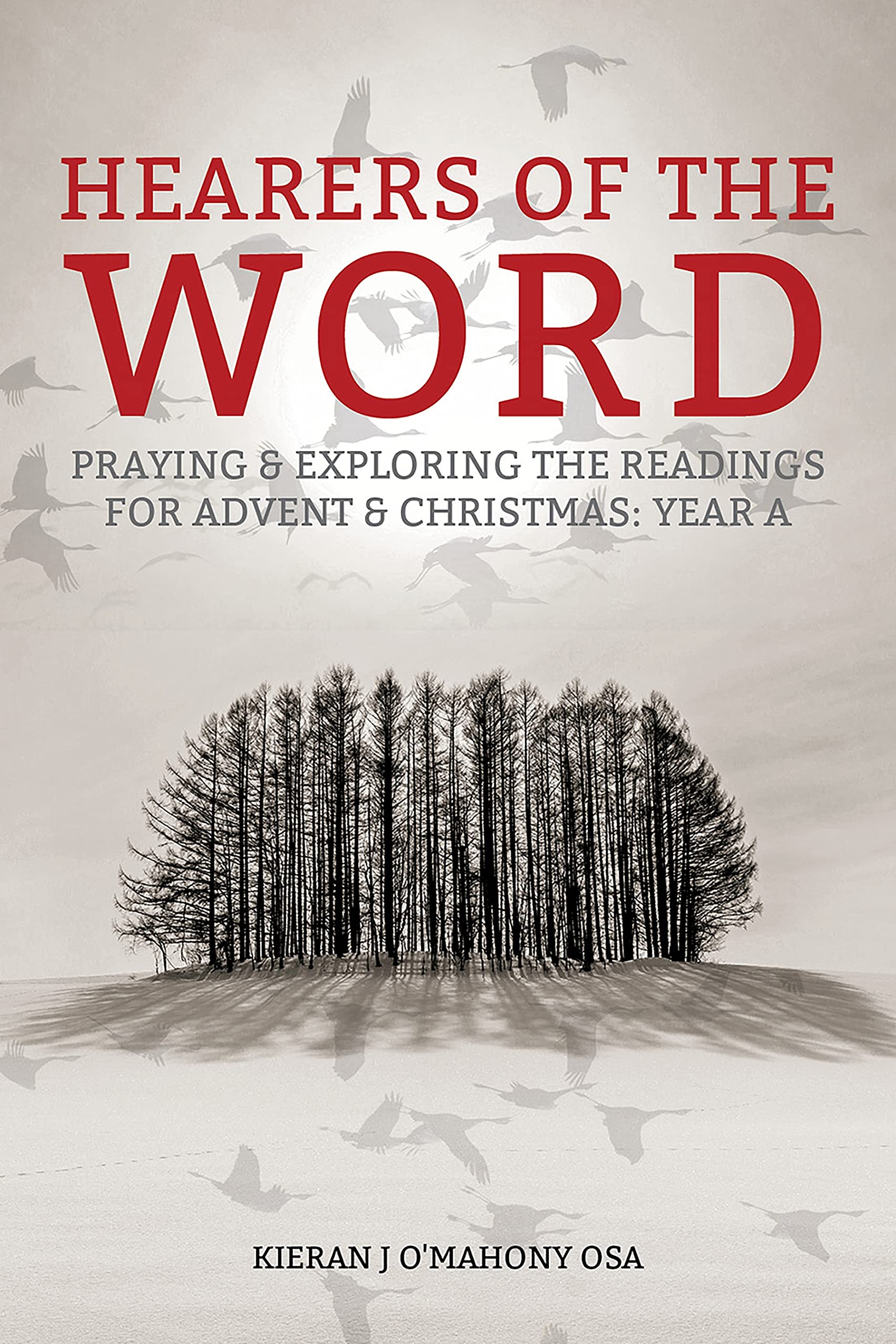 Hearers of the Word: Praying and Exploring the Readings for Advent and Christmas, Year a Social Sciences