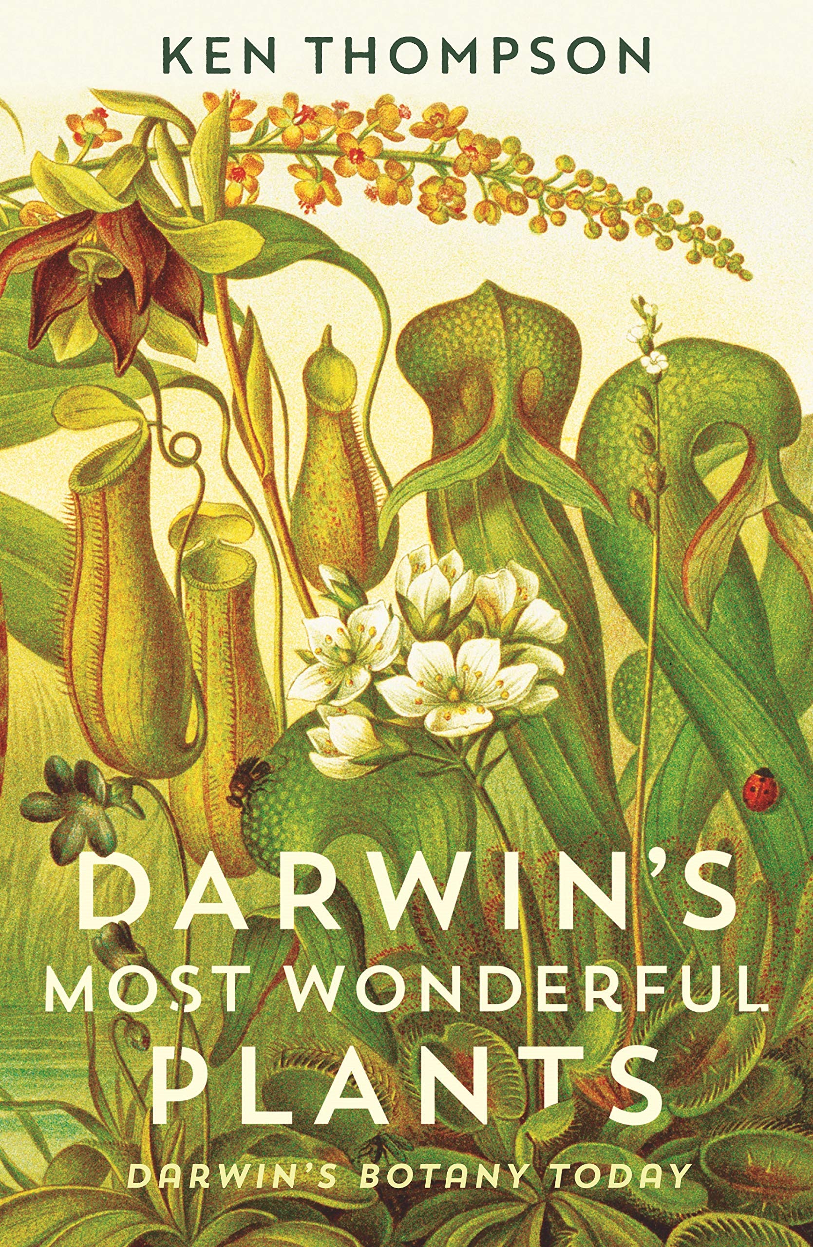 Darwin's Most Wonderful Plants: Darwin's Botany Today Film, Art & Culture