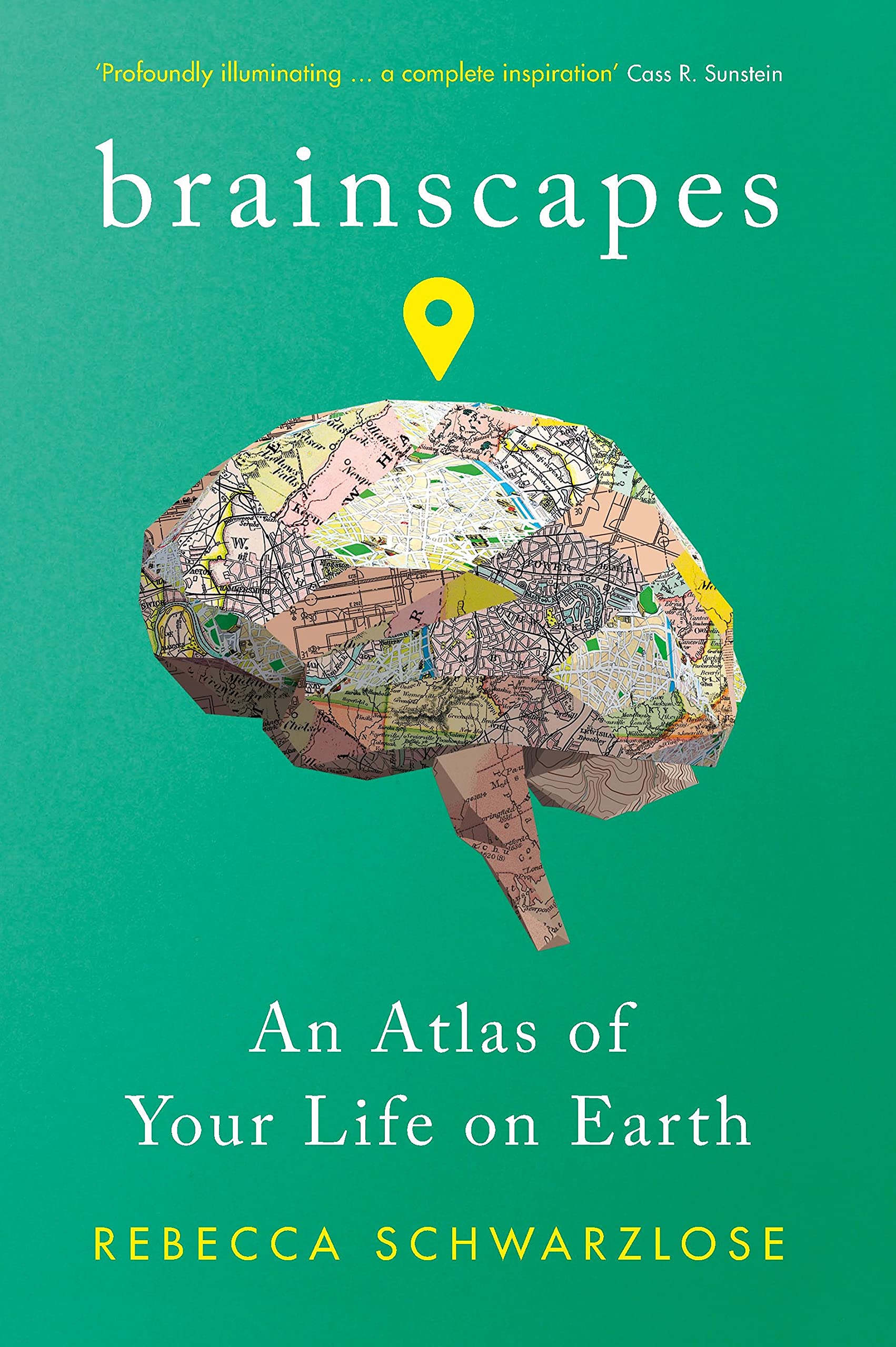 Brainscapes: An Atlas of Your Life on Earth (Serpent's Tail Classics) Medicine