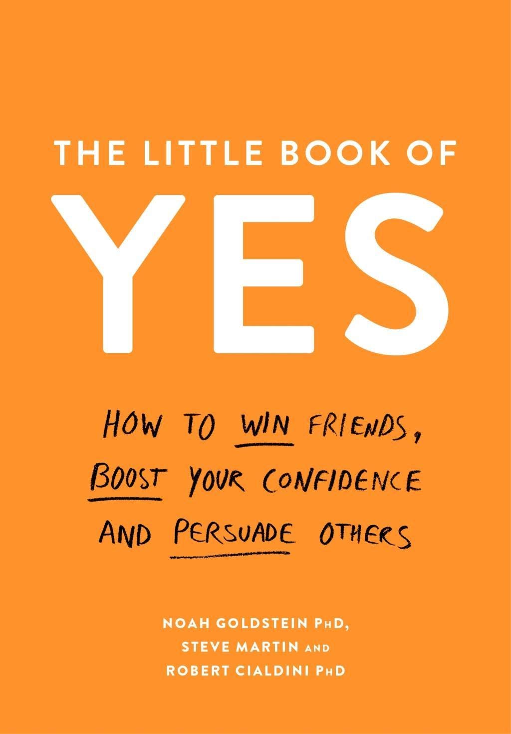 The Little Book of Yes Business, Finance & Career