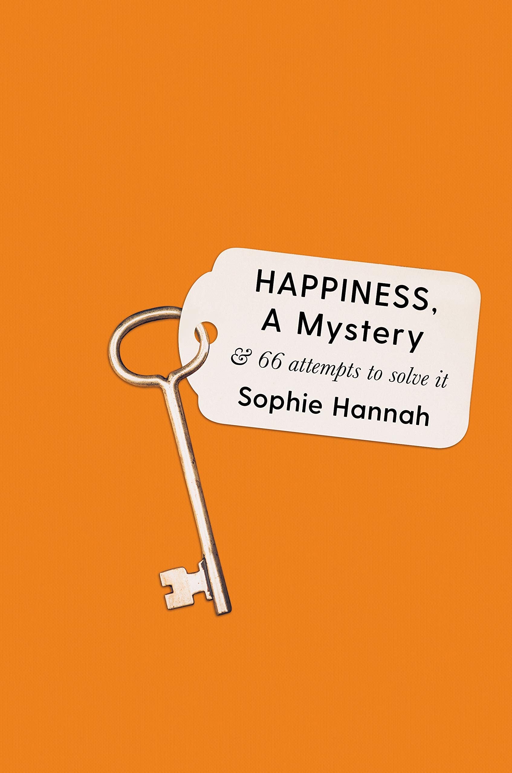 Happiness, a Mystery: And 66 Attempts to Solve It Lifestyle