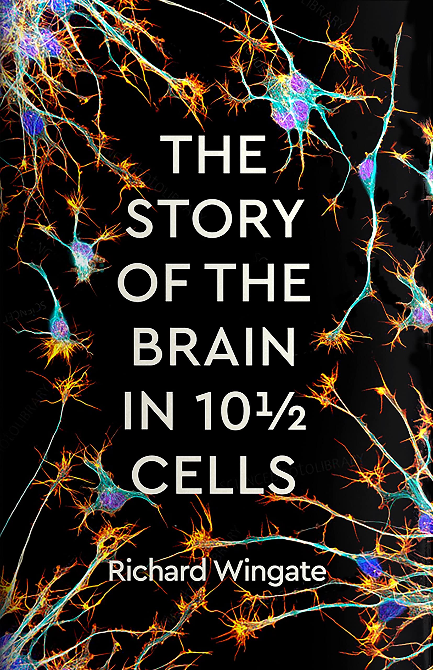 The Story of the Brain in 10½ Cells Medicine