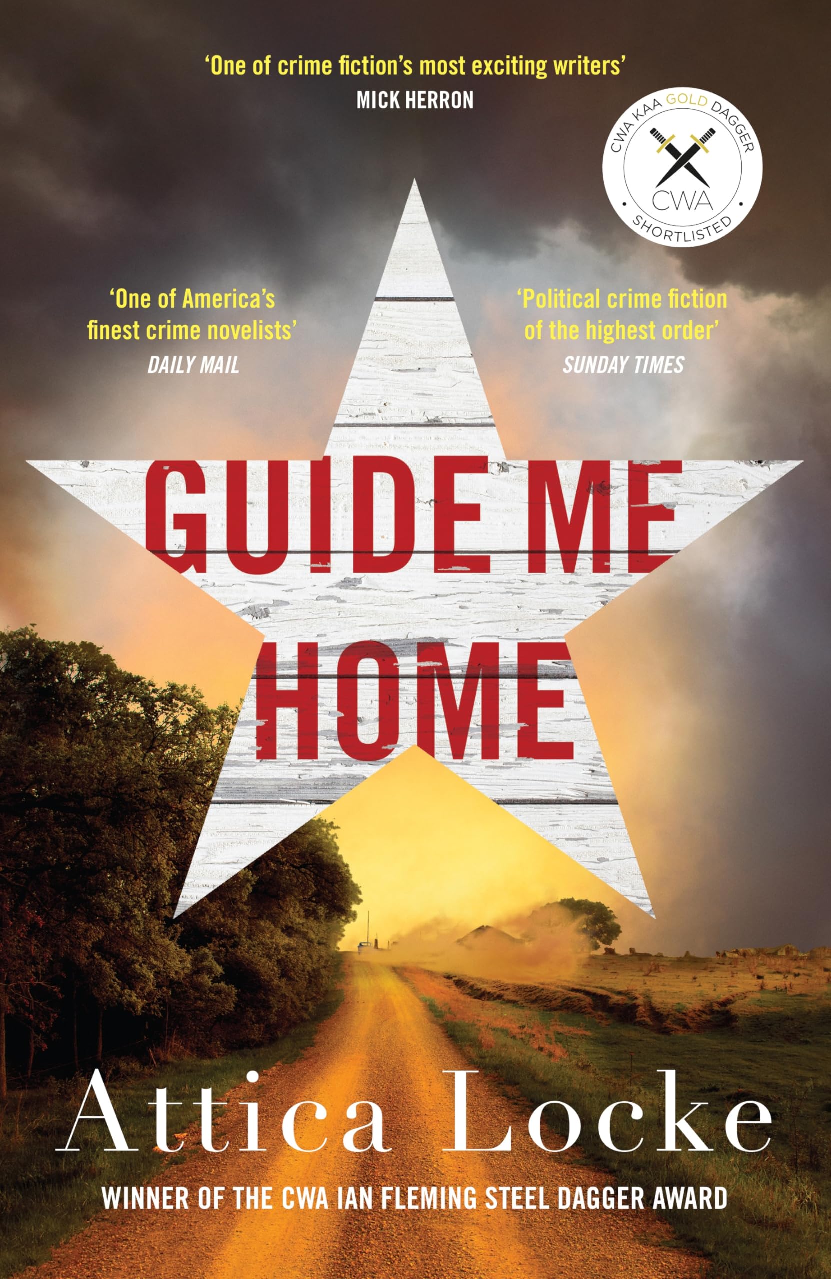 Guide Me Home Historical Fiction