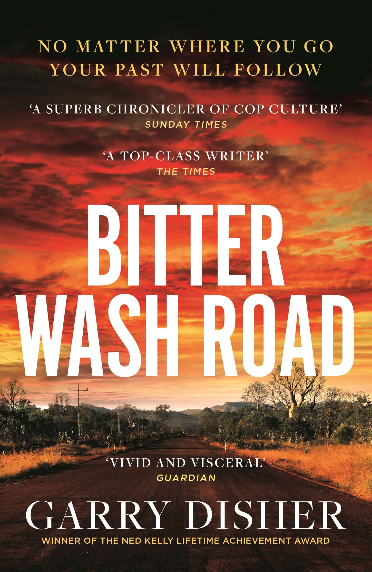 Bitter Wash Road Contemporary literature Books