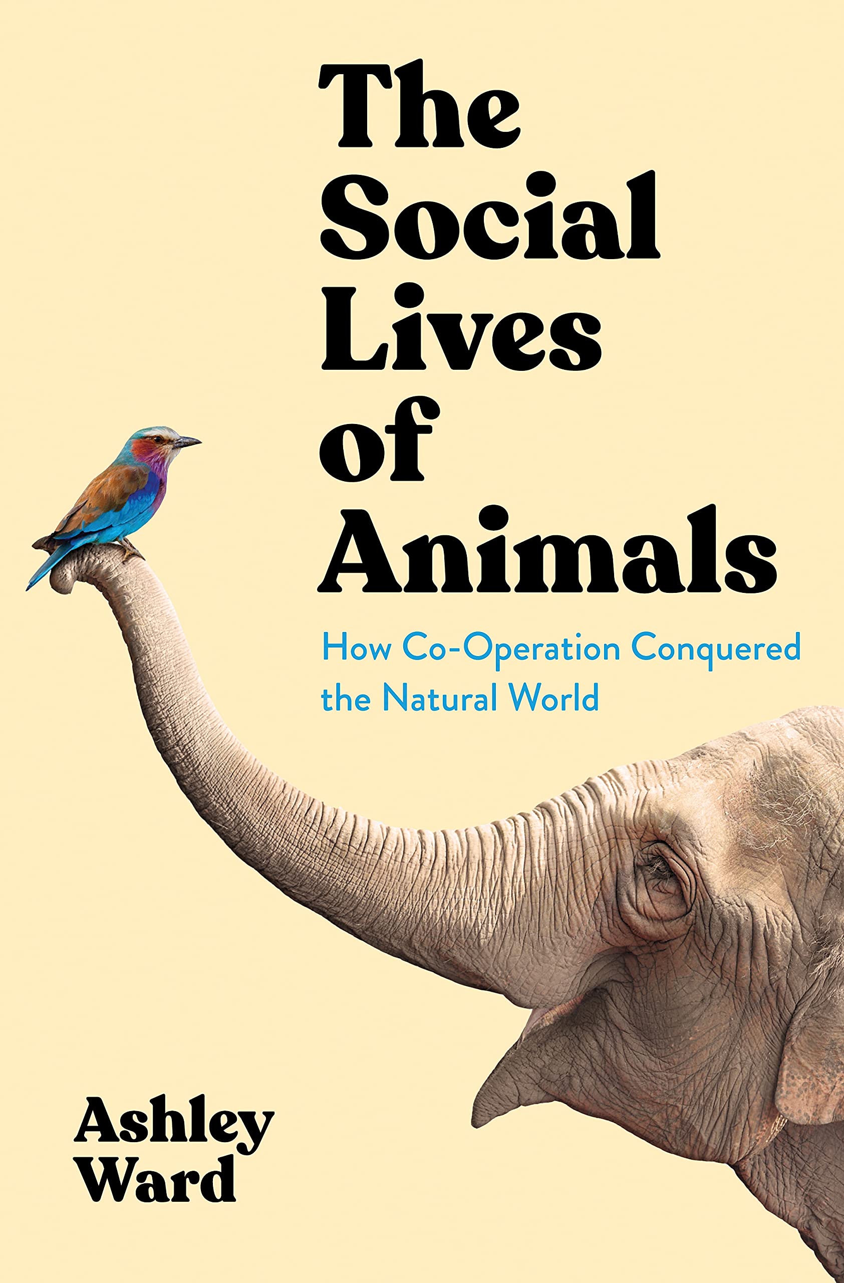 The Social Lives of Animals: How Co-operation Conquered the Natural World Natural Sciences