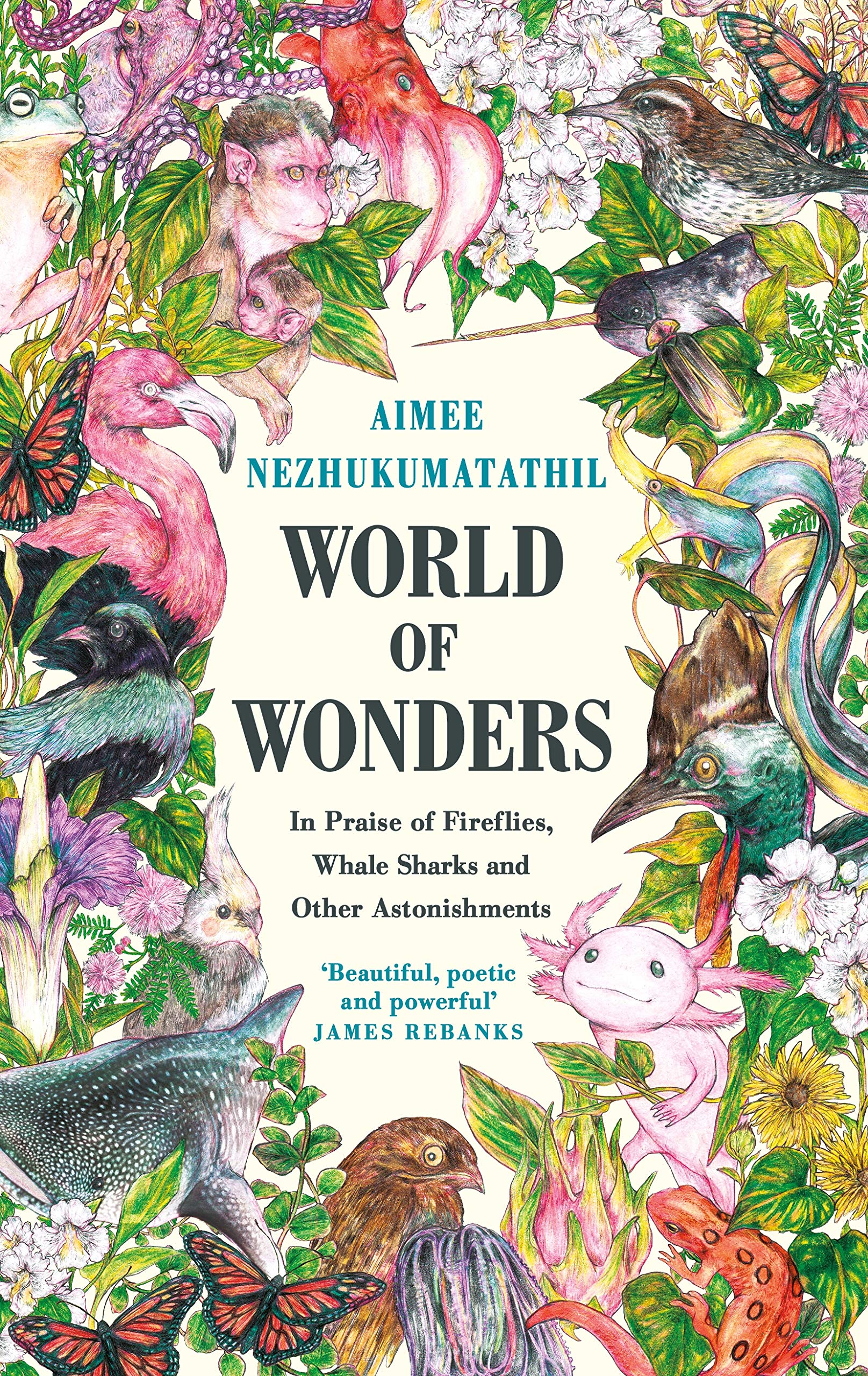 World of Wonders: In Praise of Fireflies, Whale Sharks and Other Astonishments Mathematics
