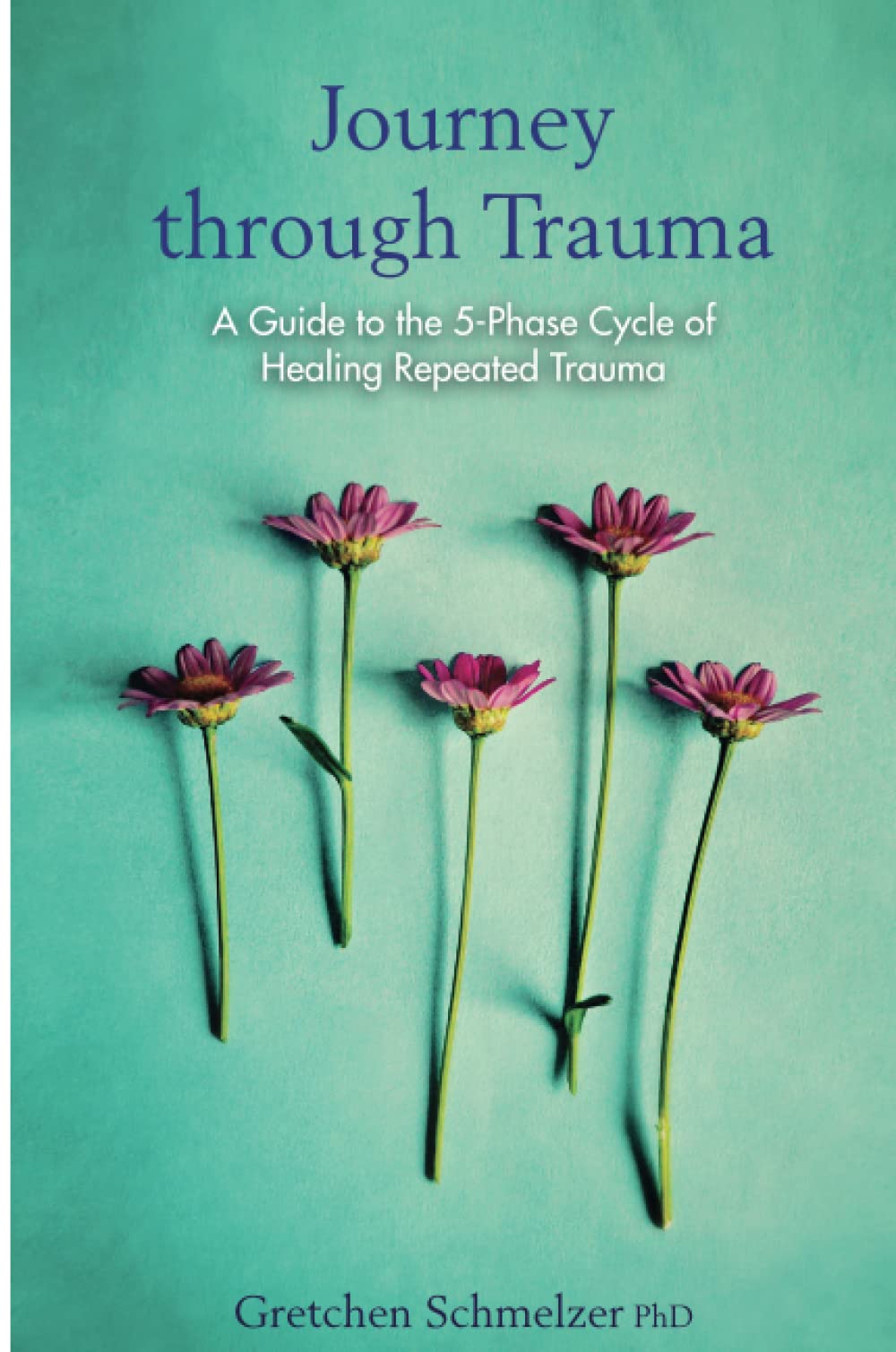 Journey through Trauma: A Guide to the 5-Phase Cycle of Healing Repeated Trauma book