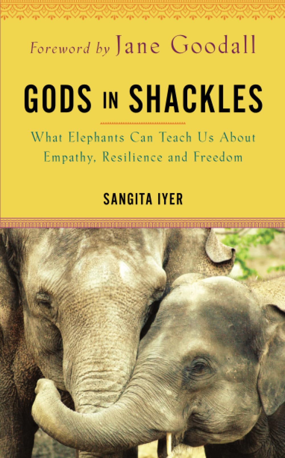Gods in Shackles: What Elephants Can Teach Us About Empathy, Resilience and Freedom Books