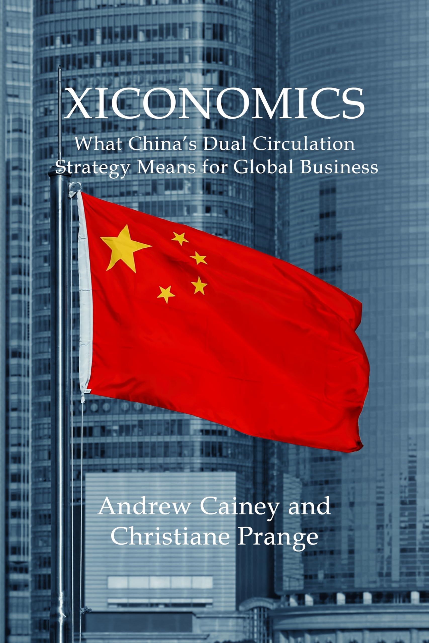 Xiconomics: What China’s Dual Circulation Strategy Means for Global Business (Business With China) Business, Finance & Career