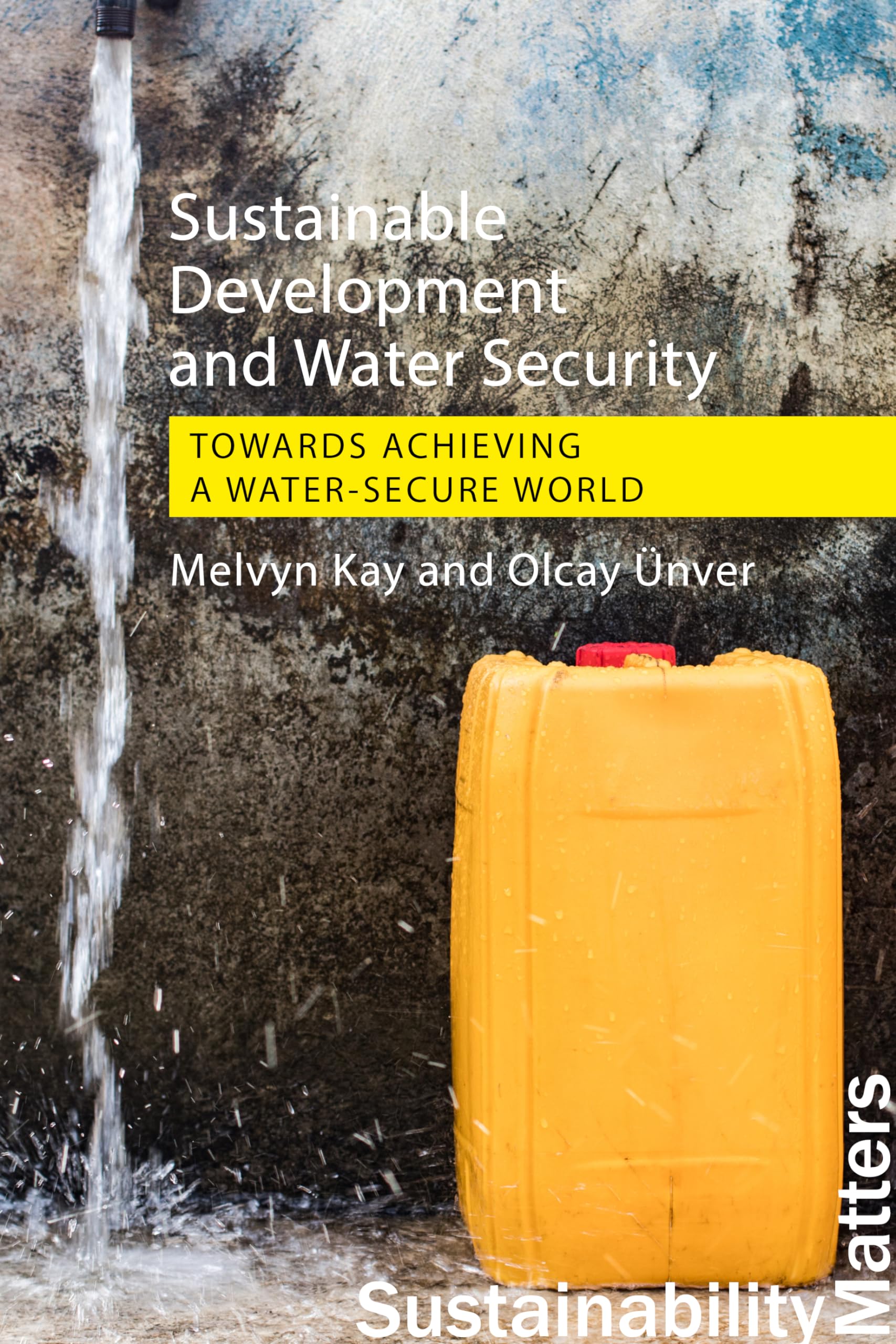 Sustainable Development and Water Security: Towards Achieving a Water-Secure World (Sustainability Matters) Social Sciences
