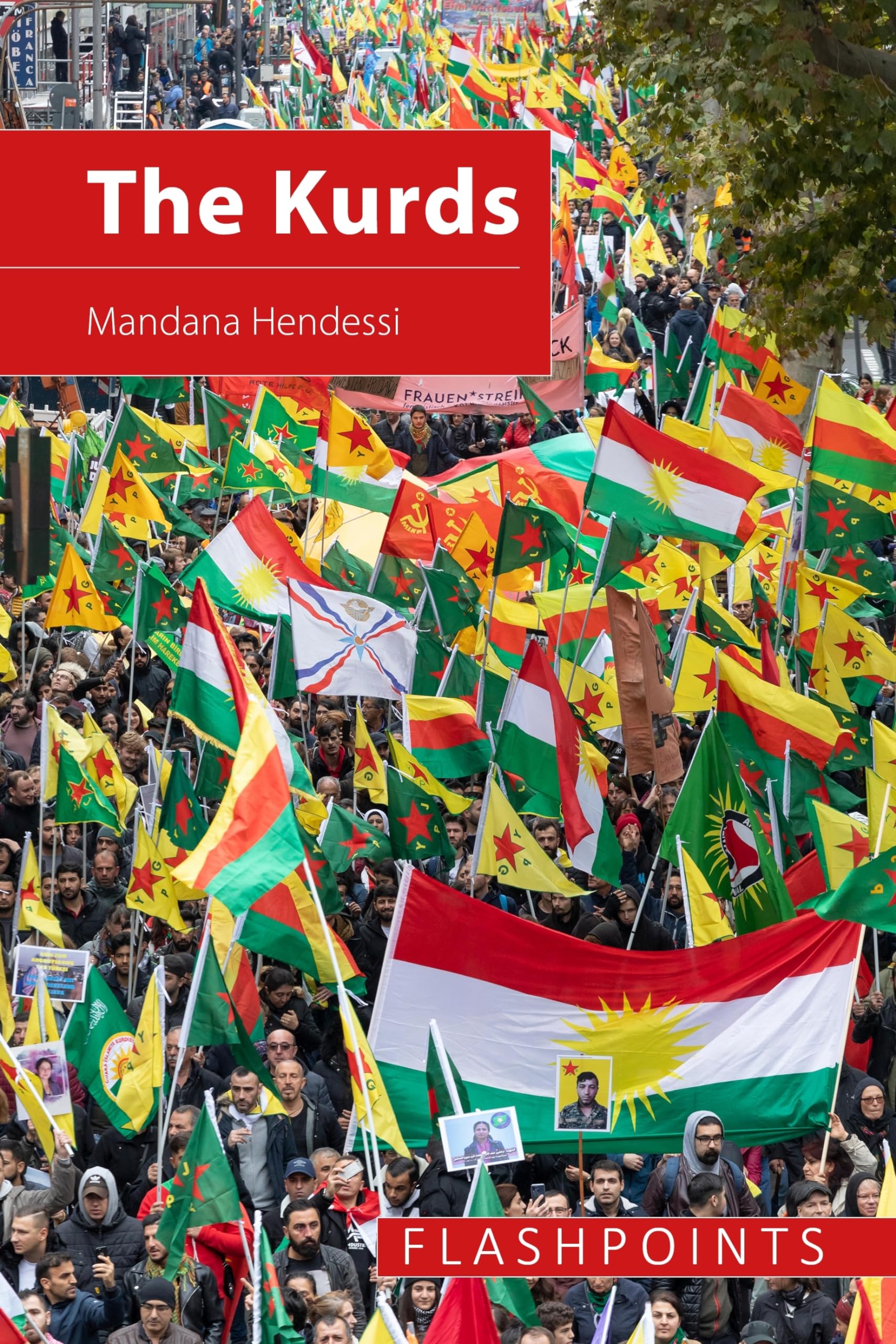 The Kurds: The Struggle for National Identity and Statehood (Flashpoints) Books
