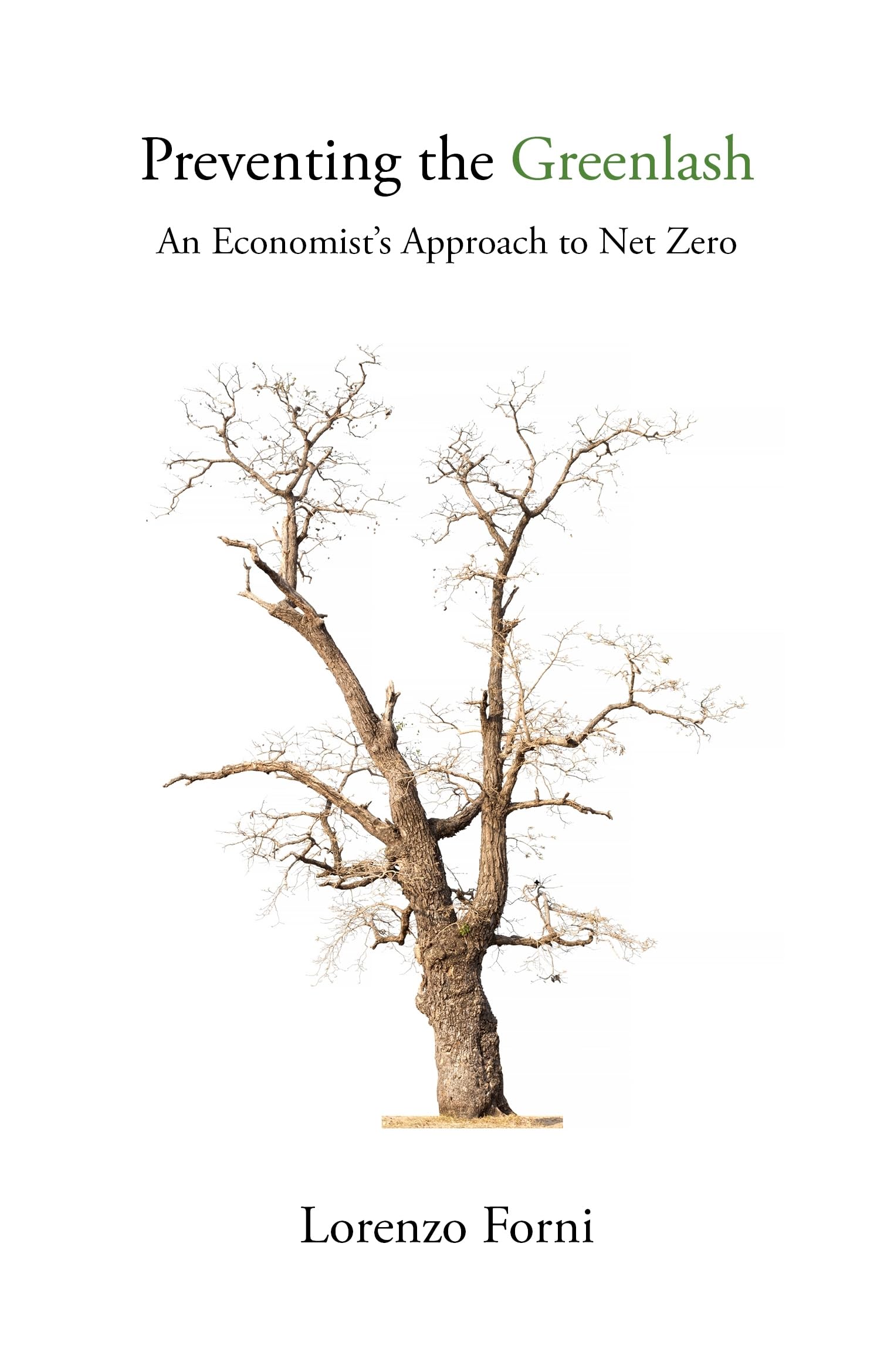 Preventing the Greenlash: An Economist’s Approach to Net Zero Business, Finance & Career