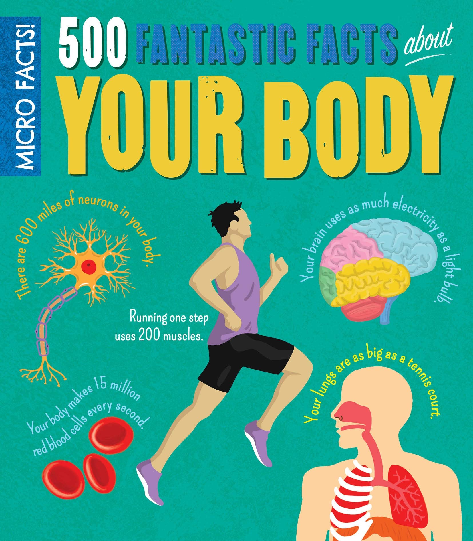 Micro Facts! 500 Fantastic Facts About Your Body Non-fiction