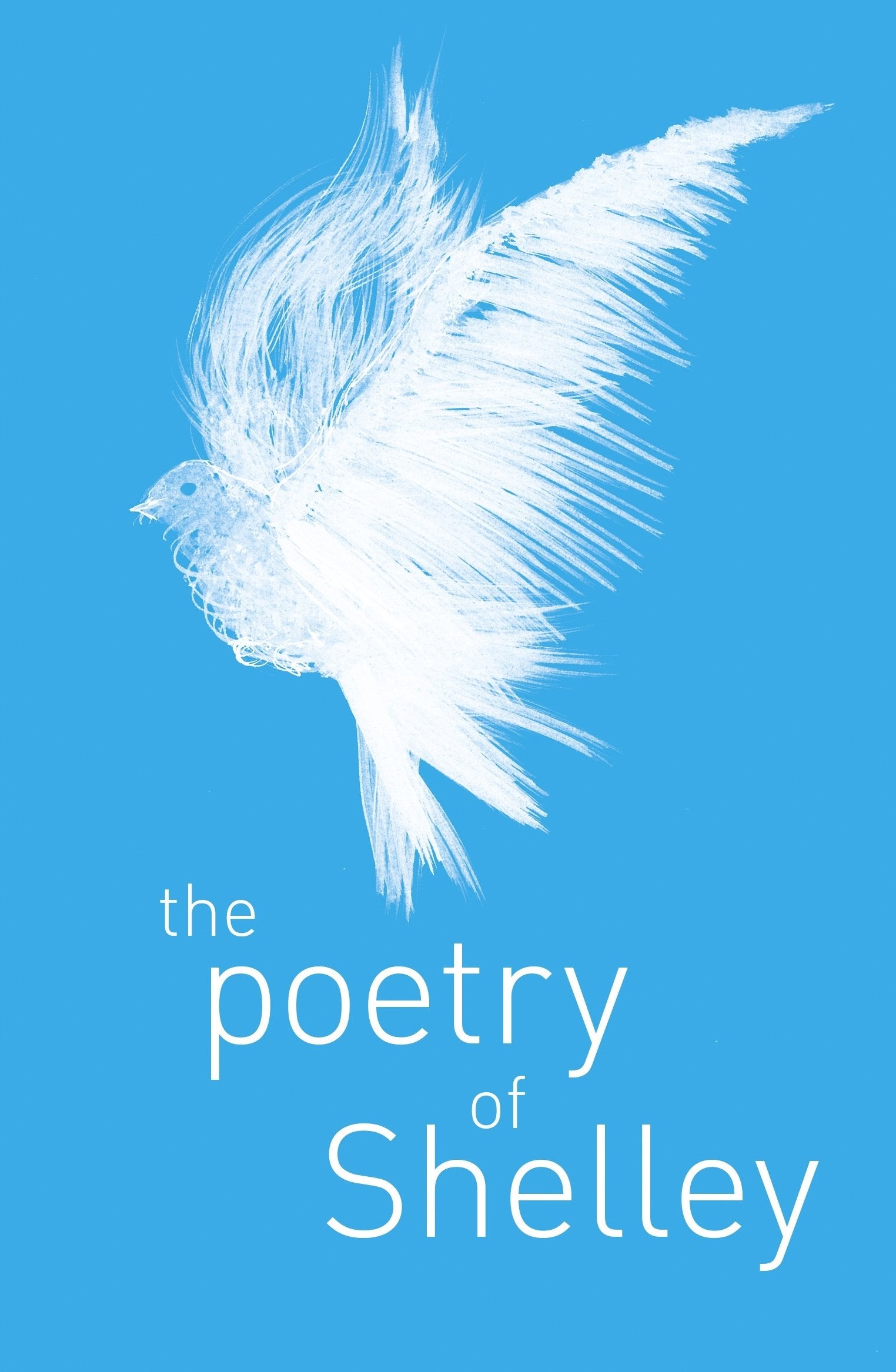 The Poetry of Percy Shelley Social Sciences