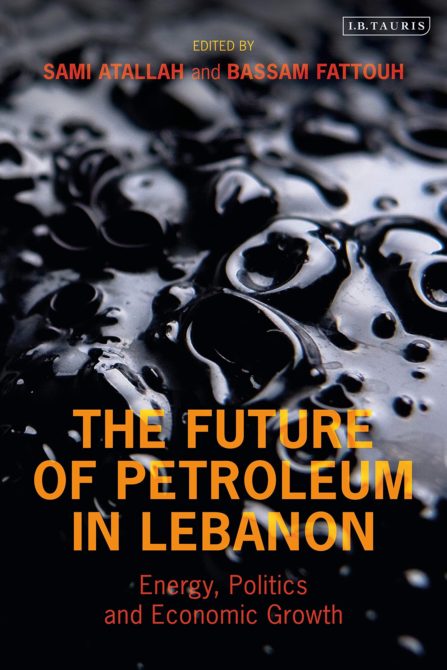 Future of Petroleum in Lebanon Business, Finance & Career