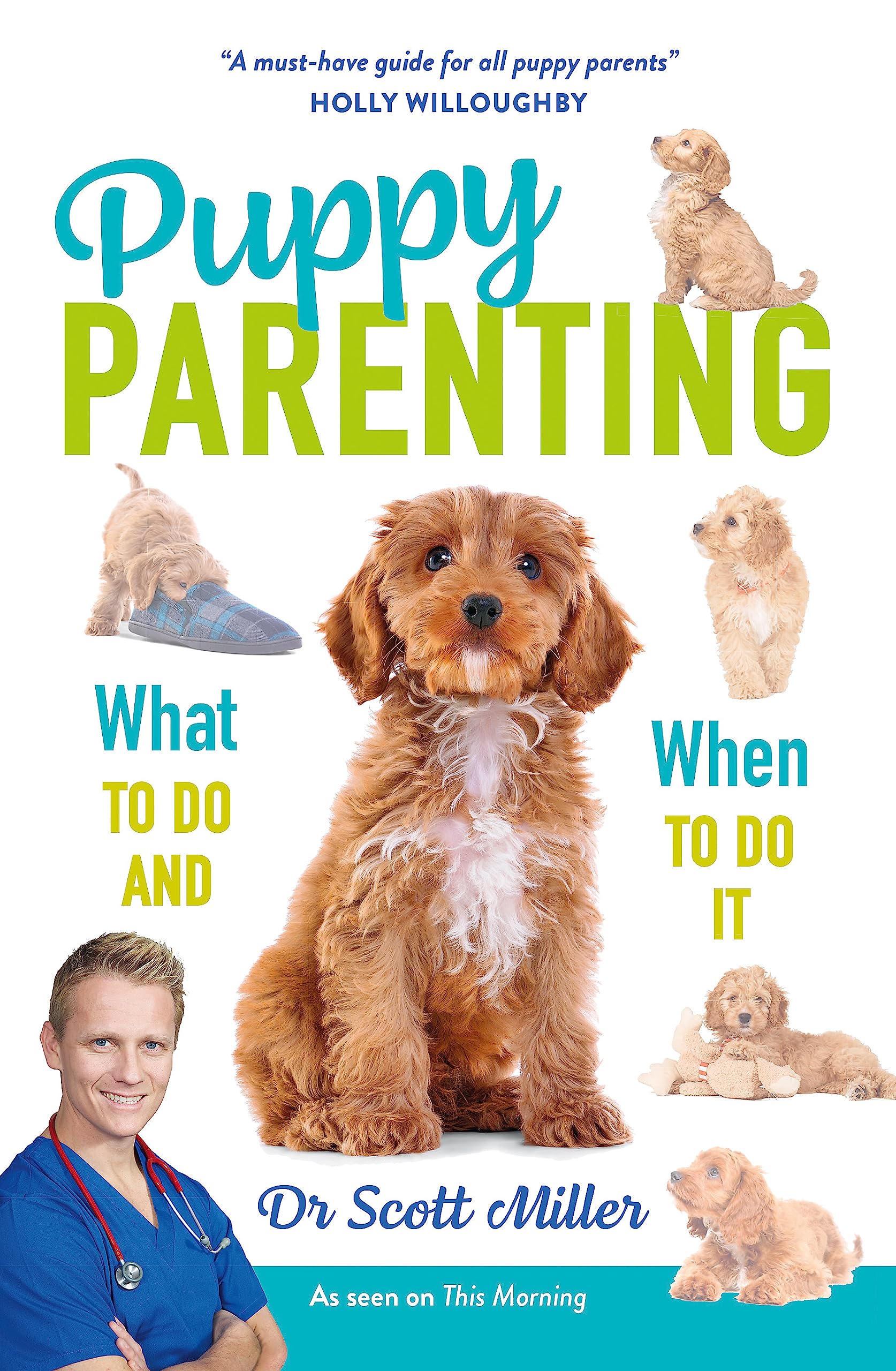 Puppy Parenting: What to Do and When to Do It Pets