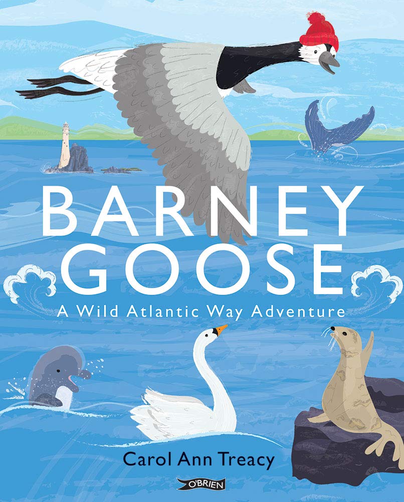 Barney Goose: A Wild Atlantic Way Adventure book