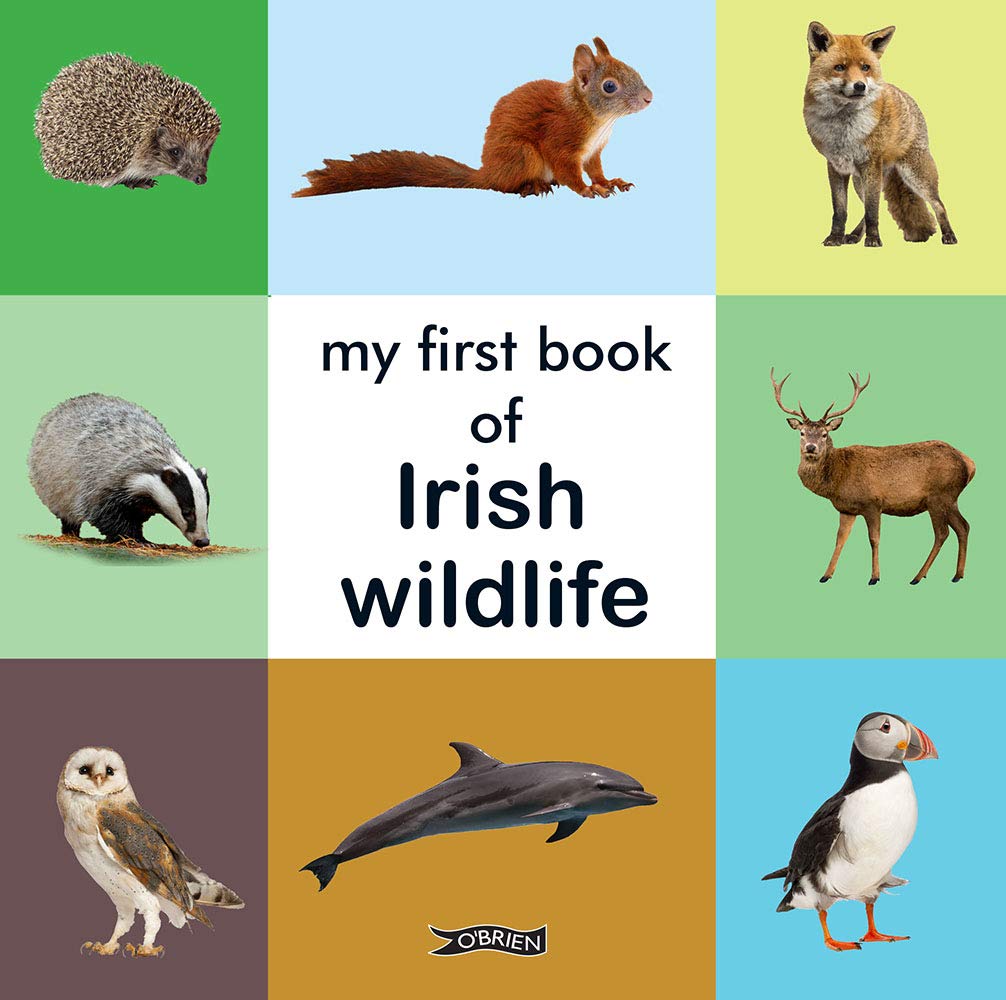 My First Book of Irish Wildlife Parents & Children