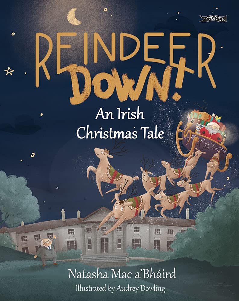 Reindeer Down!: An Irish Christmas Tale Non-fiction