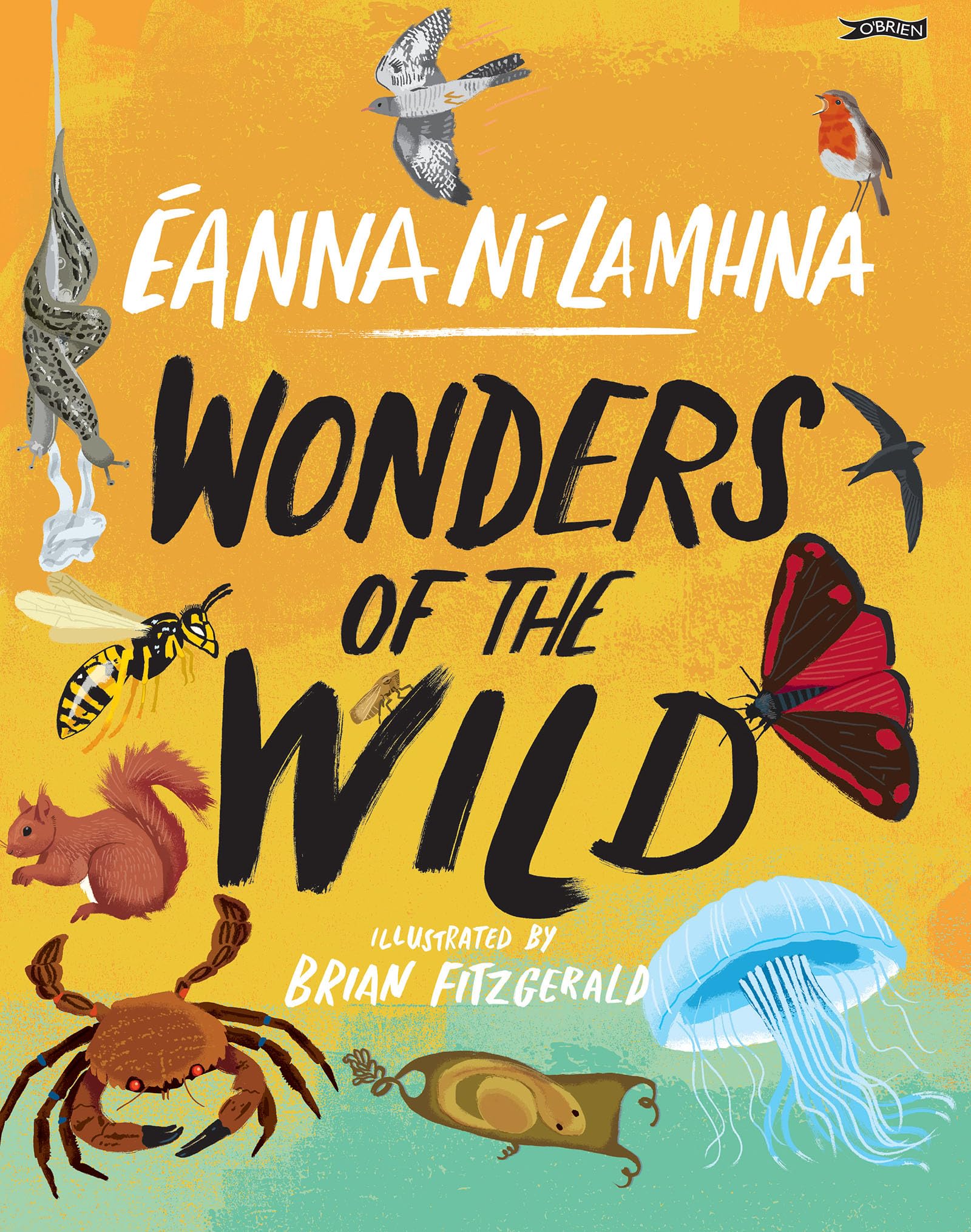 Wonders of the Wild book