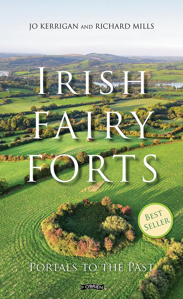 Irish Fairy Forts: Portals to the Past book