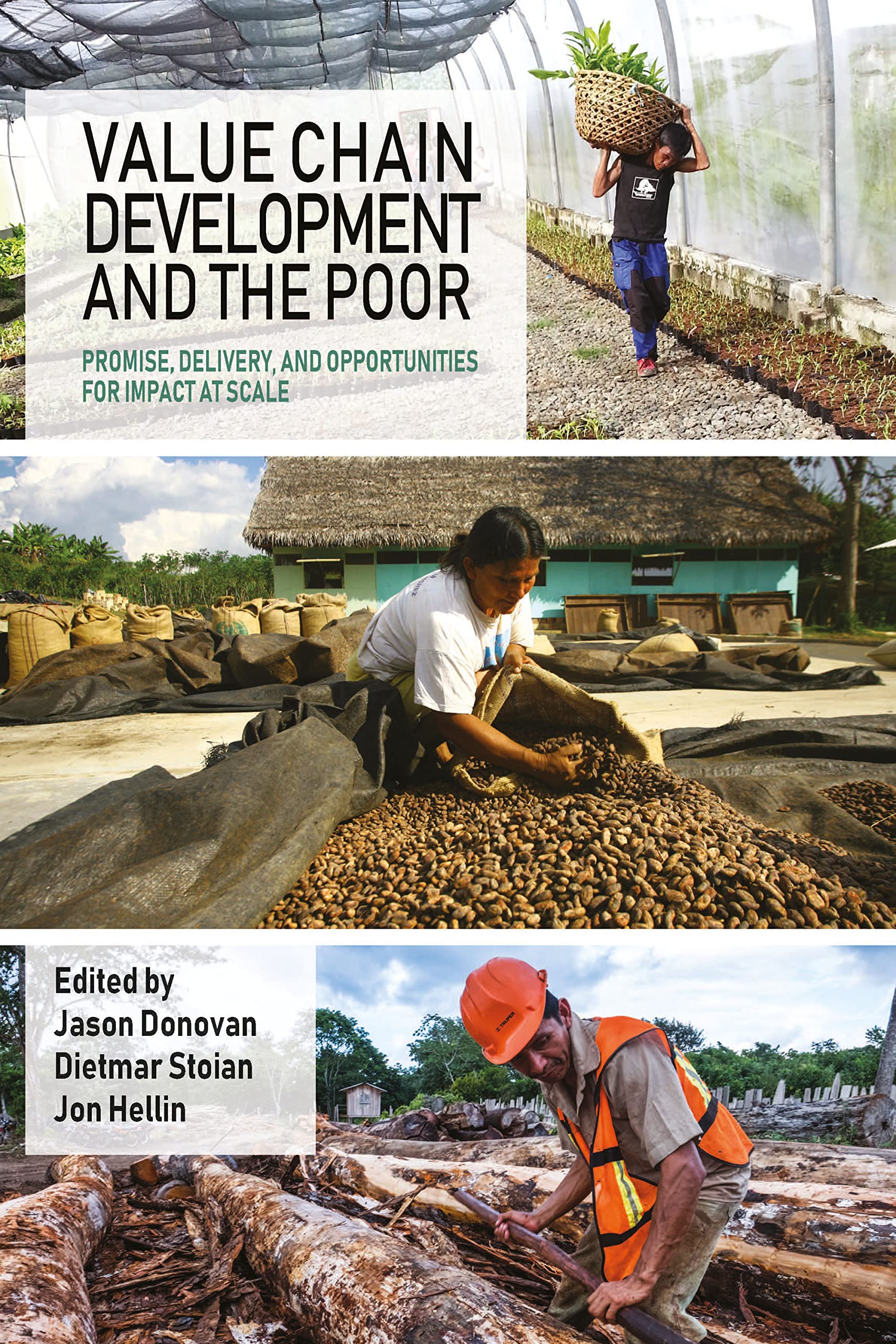 Value Chain Development and the Poor: Promise, Delivery, and Opportunities for Impact at Scale book