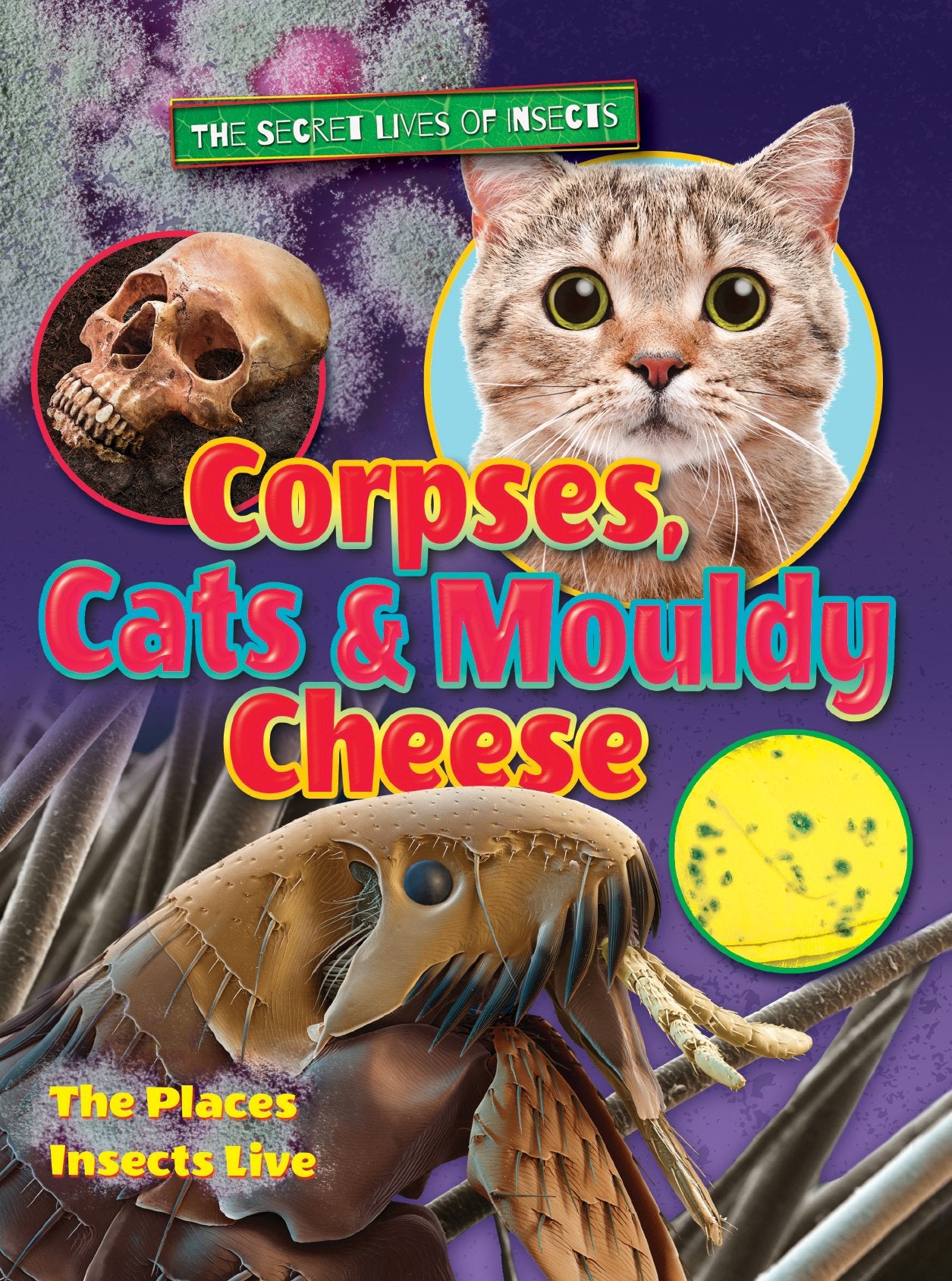 Corpses, Cats and Mouldy Cheese (The Secret Lives of Insects) Study Guides