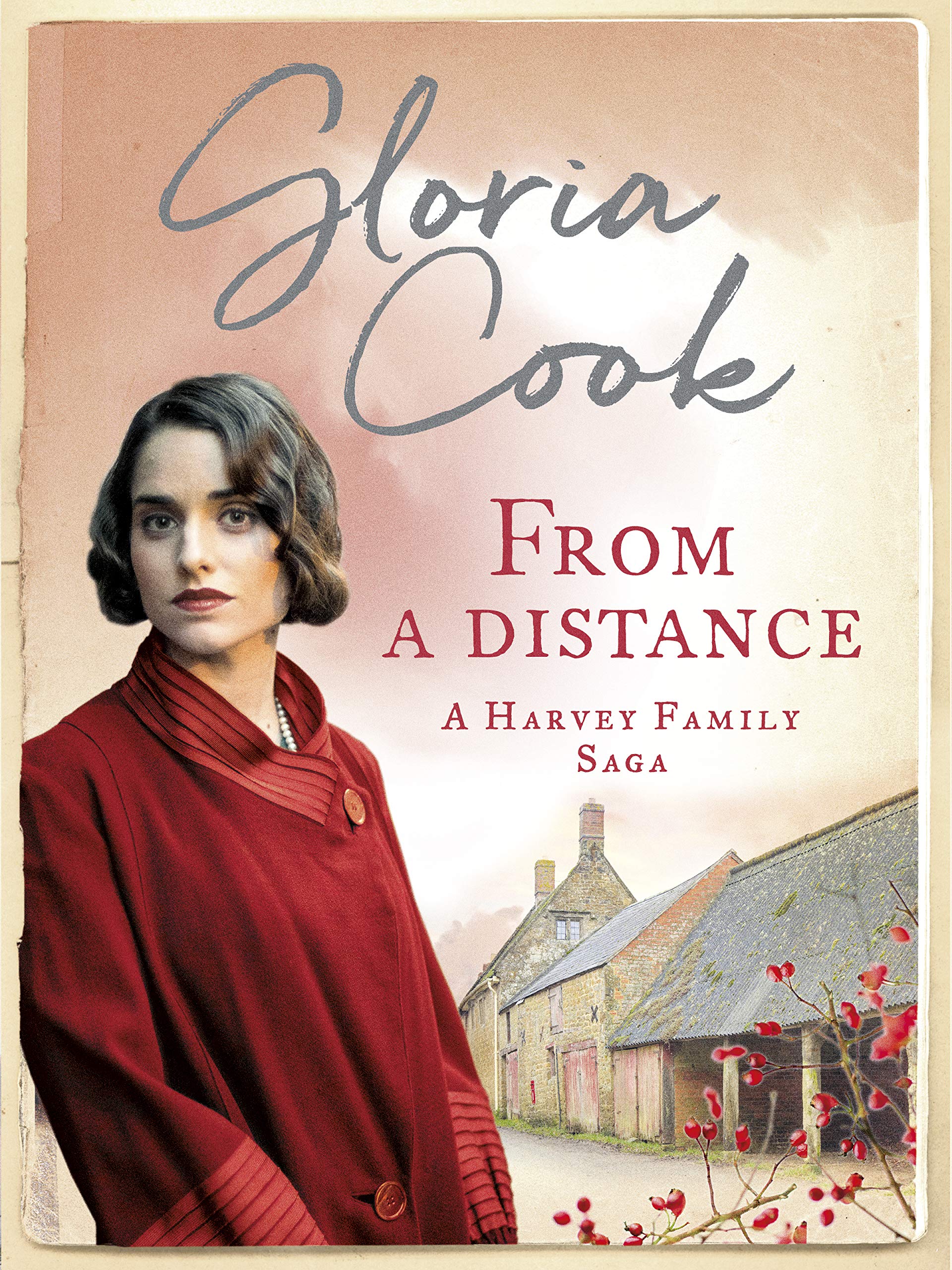 From A Distance (The Harvey Family Sagas, 3, Band 3) Contemporary literature