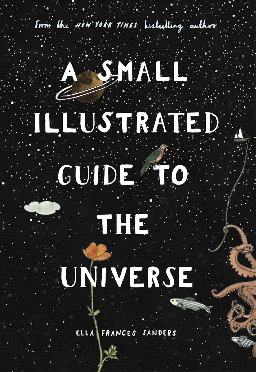A Small Illustrated Guide to the Universe: From the New York Times bestselling author book